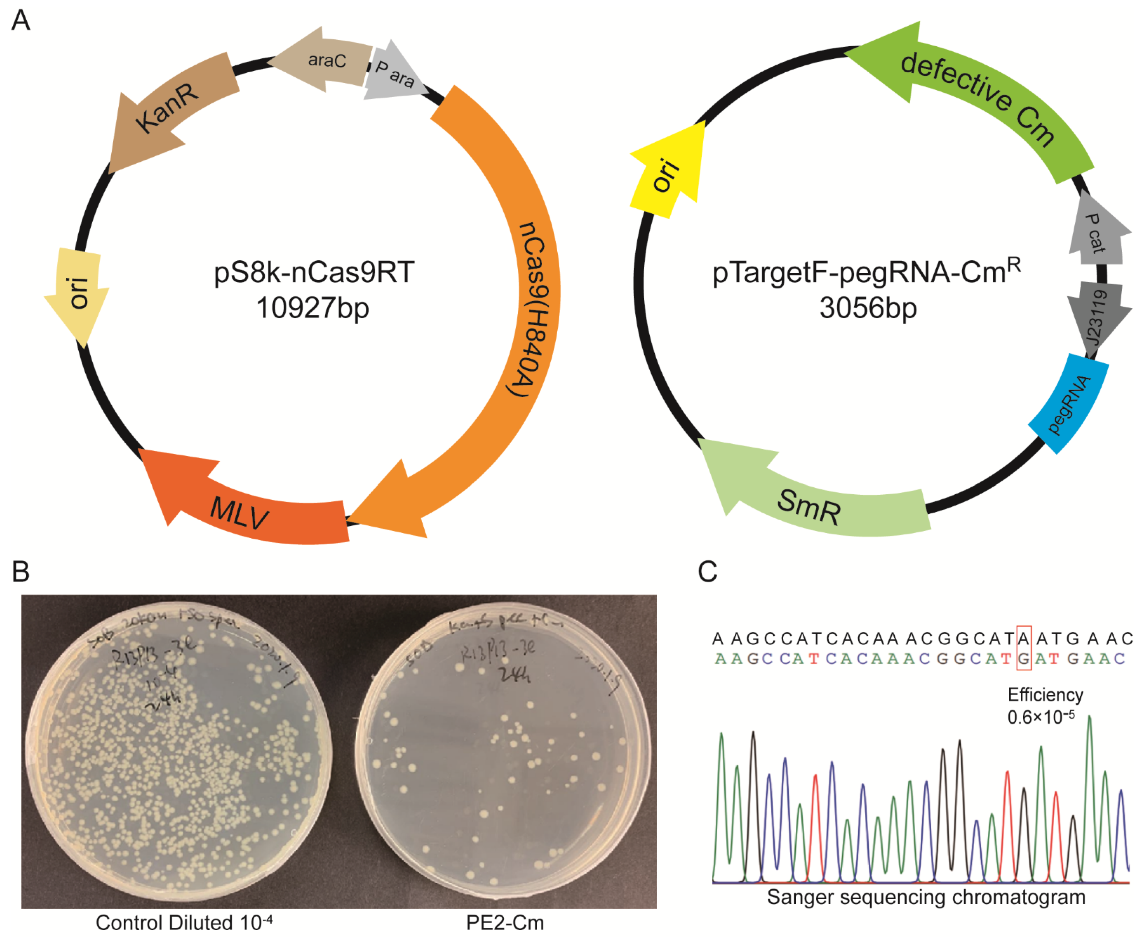 Molecules 27 01758 g002