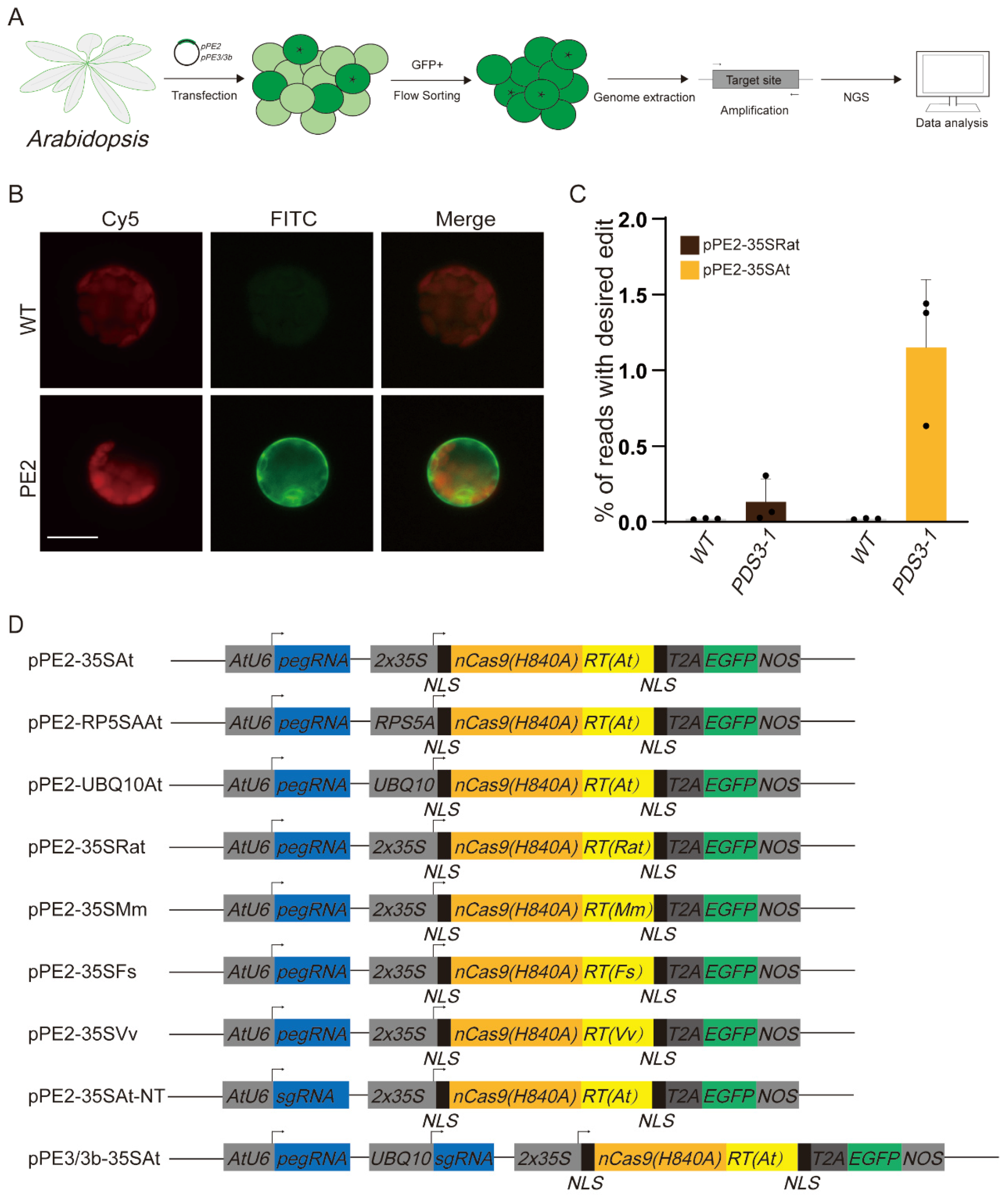 Molecules 27 01758 g003
