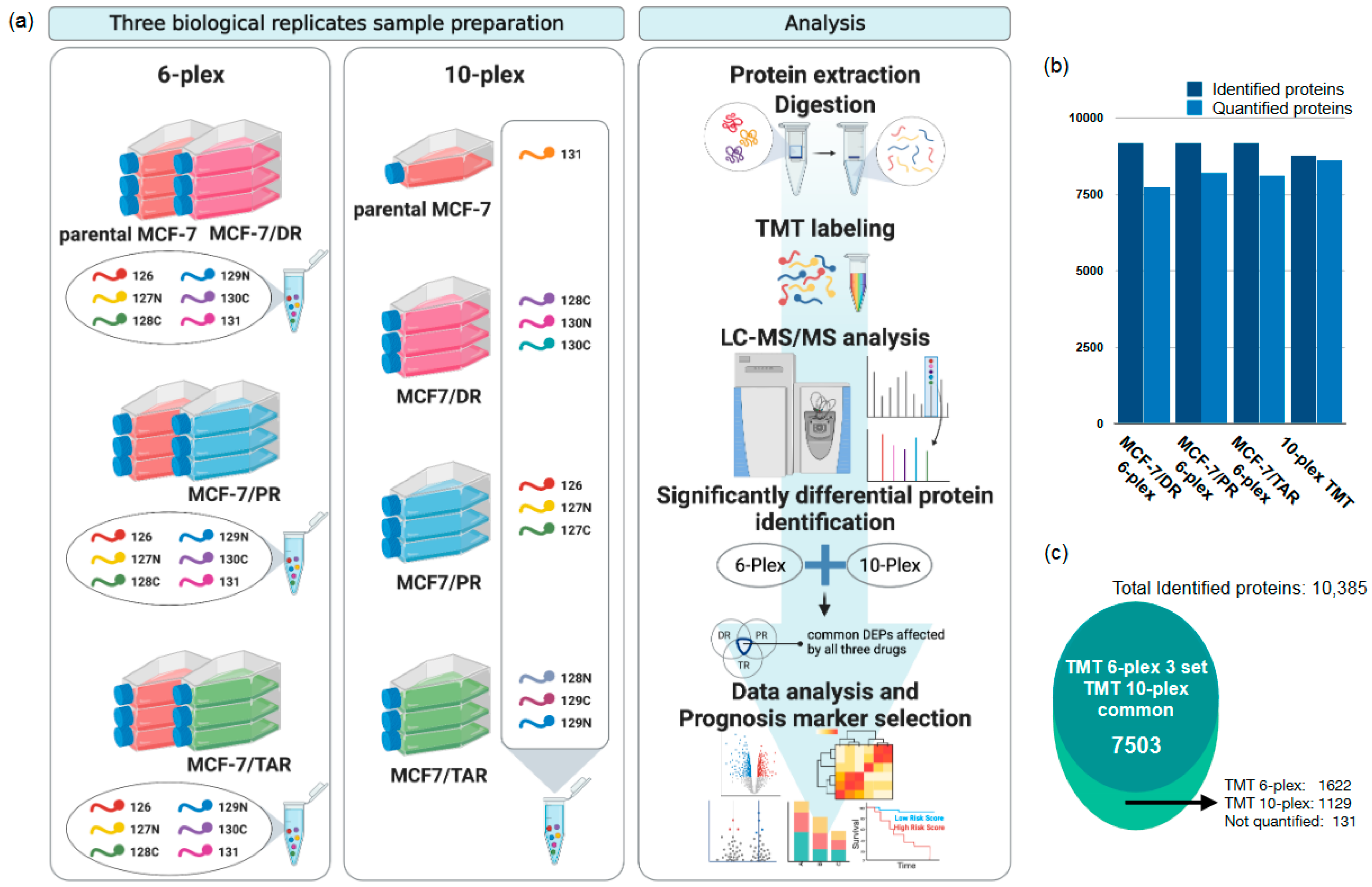 Molecules 27 01762 g001