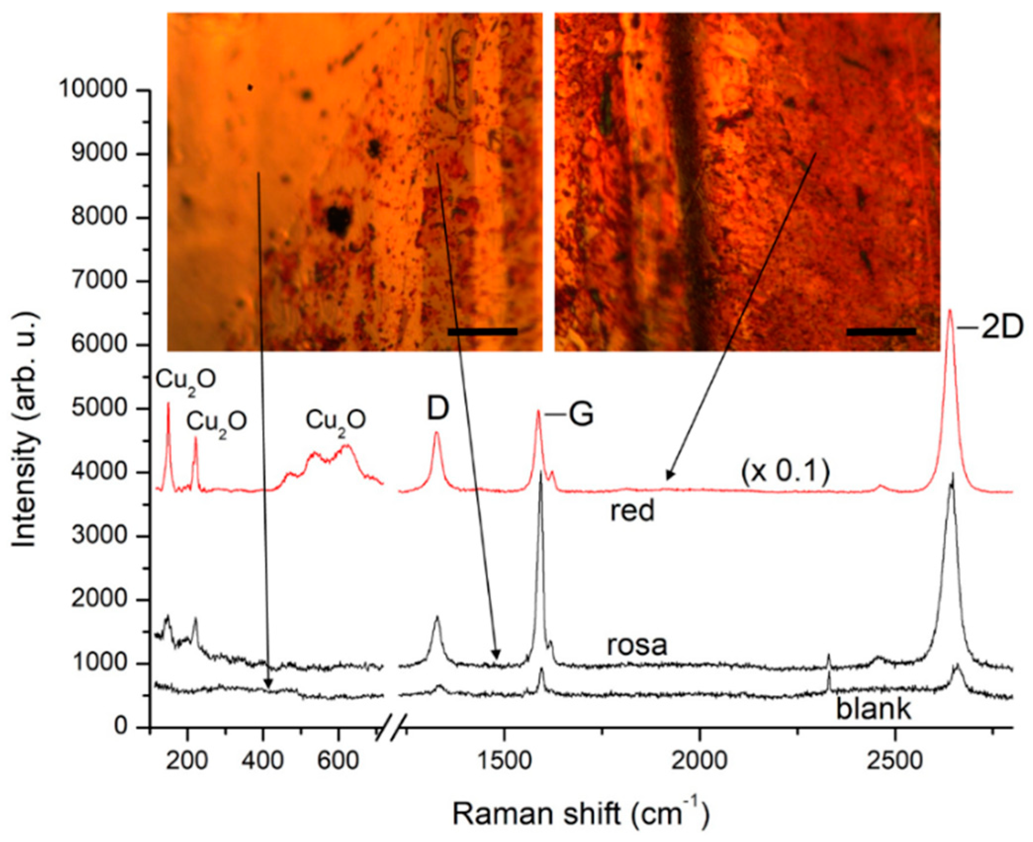 Molecules 27 01789 g001 Molecules 27 01789 g001