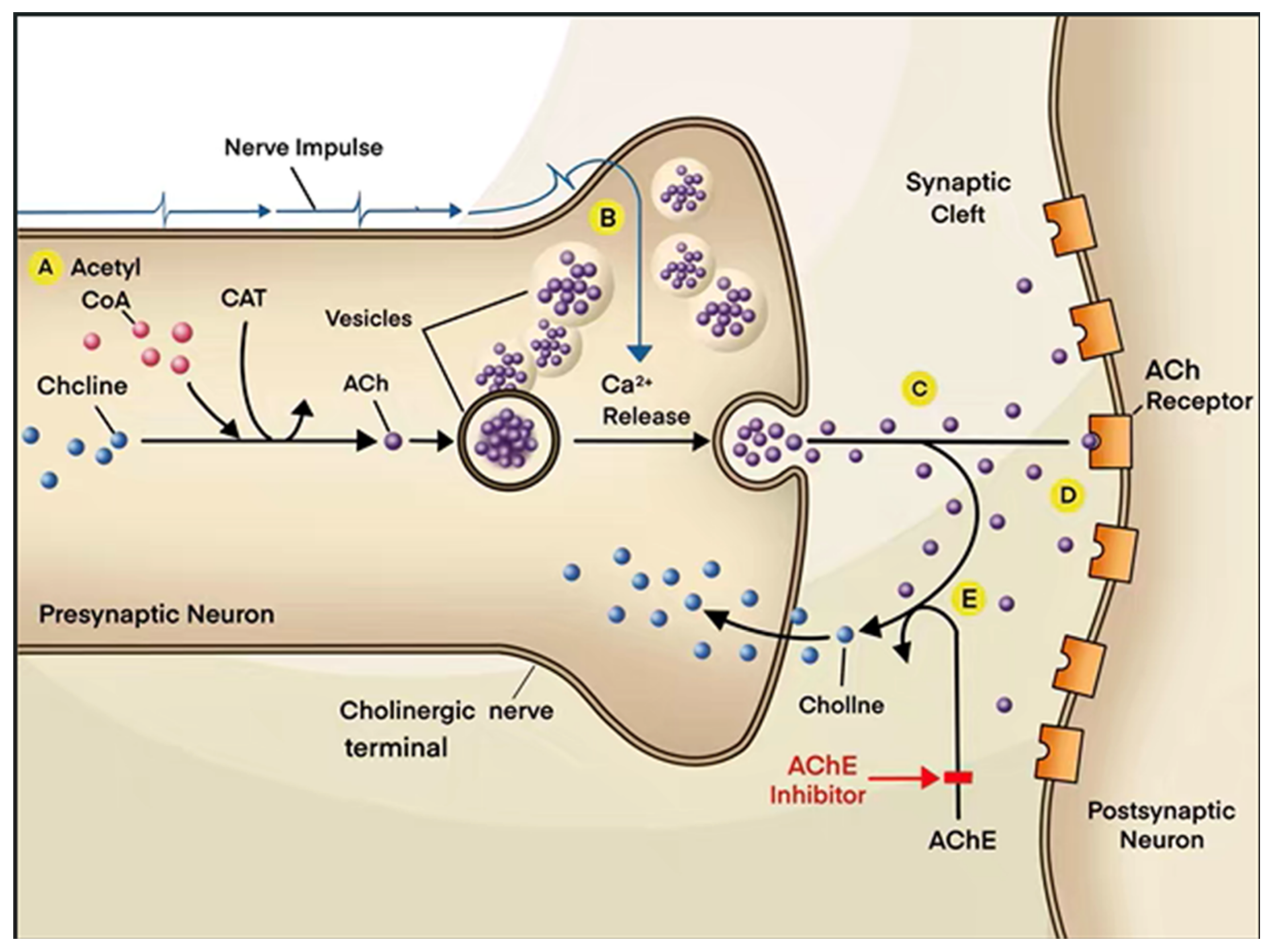 Molecules 27 01816 g002