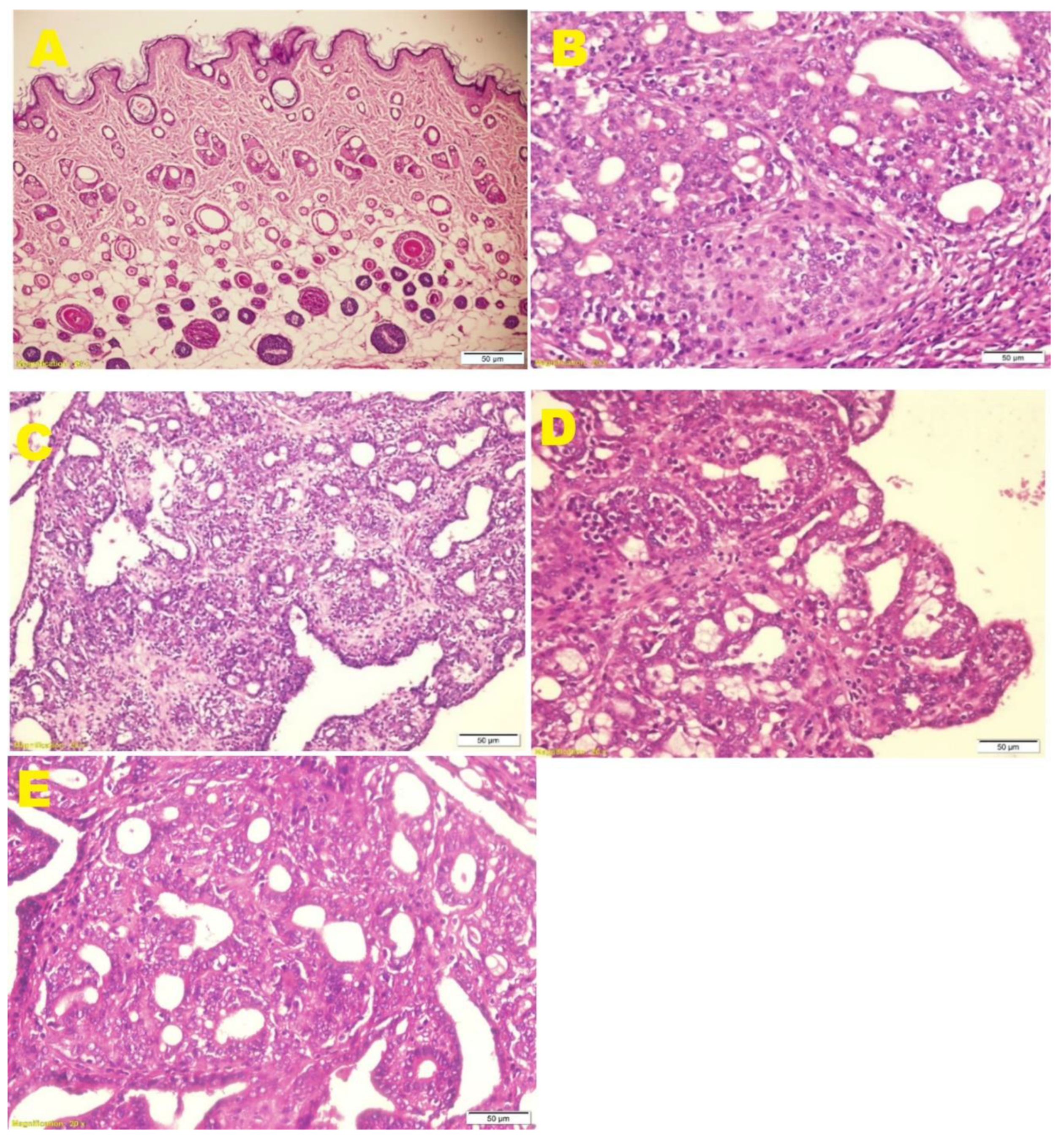 Molecules 27 01818 g002 Molecules 27 01818 g002