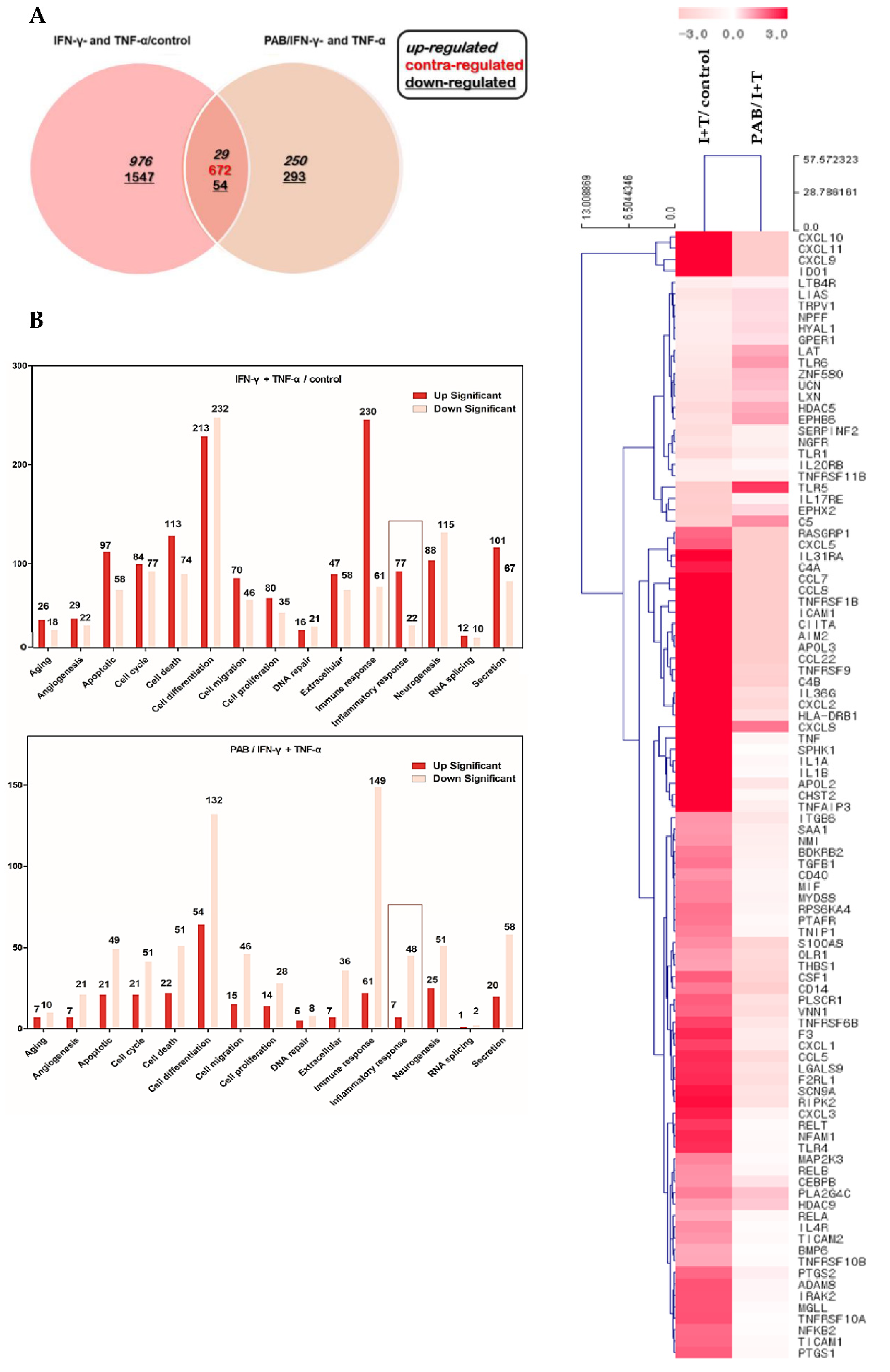 Molecules 27 01836 g004 Molecules 27 01836 g004