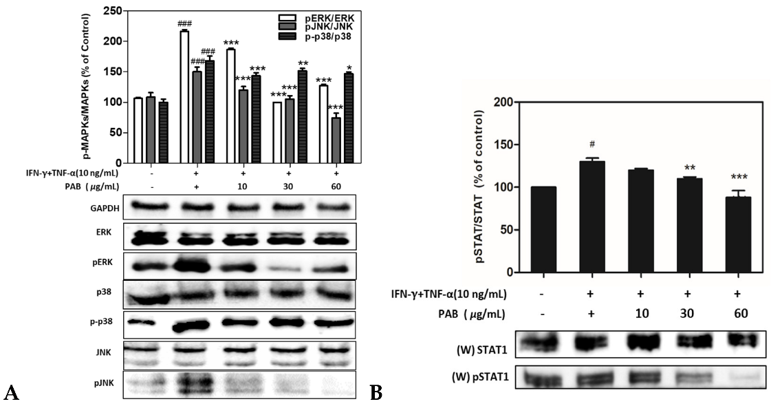 Molecules 27 01836 g006 Molecules 27 01836 g006