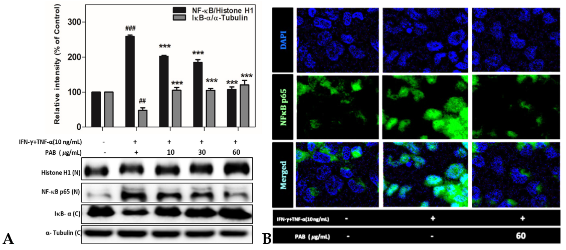 Molecules 27 01836 g007 Molecules 27 01836 g007