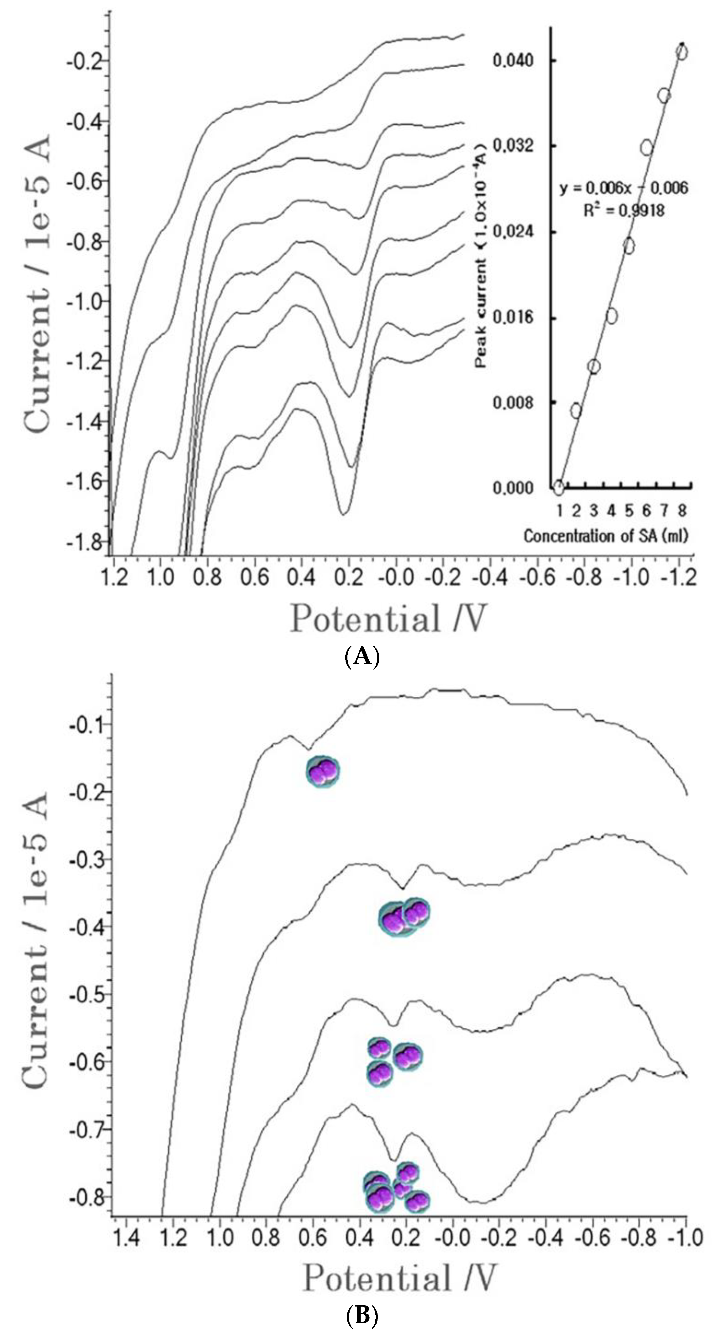 Molecules 27 01837 g004