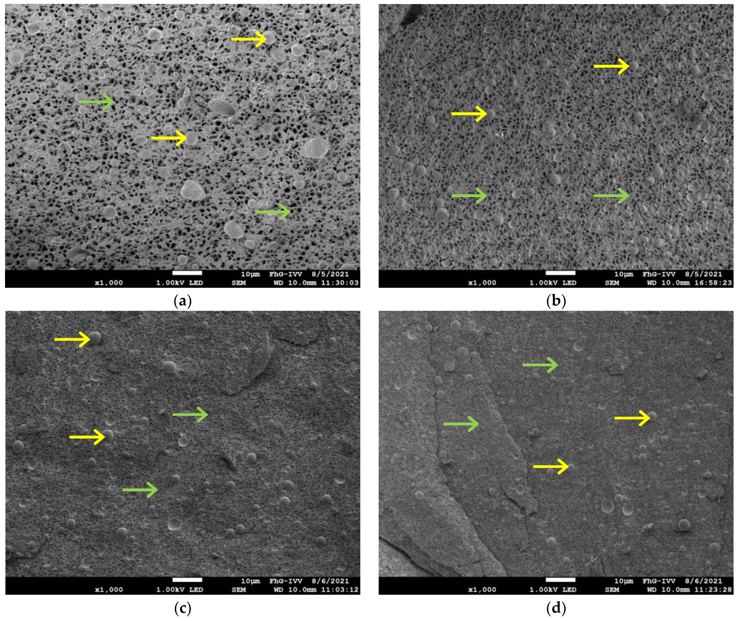 Molecules 27 01864 g011