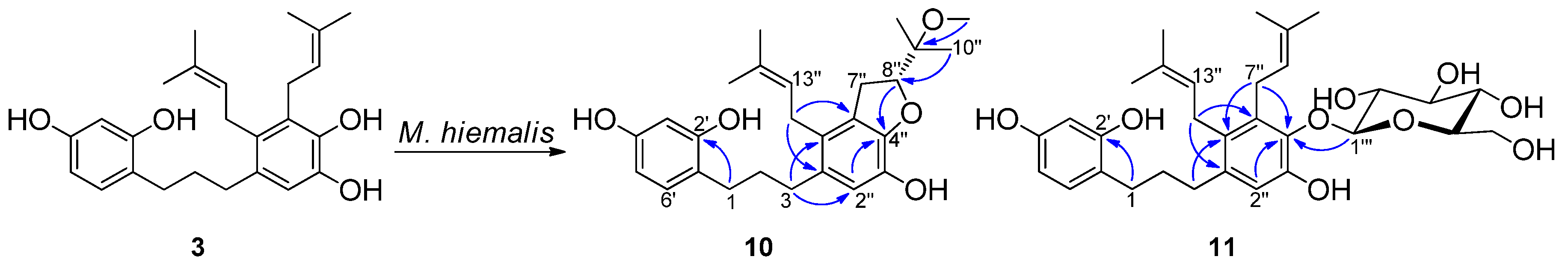 Molecules 27 01879 g004