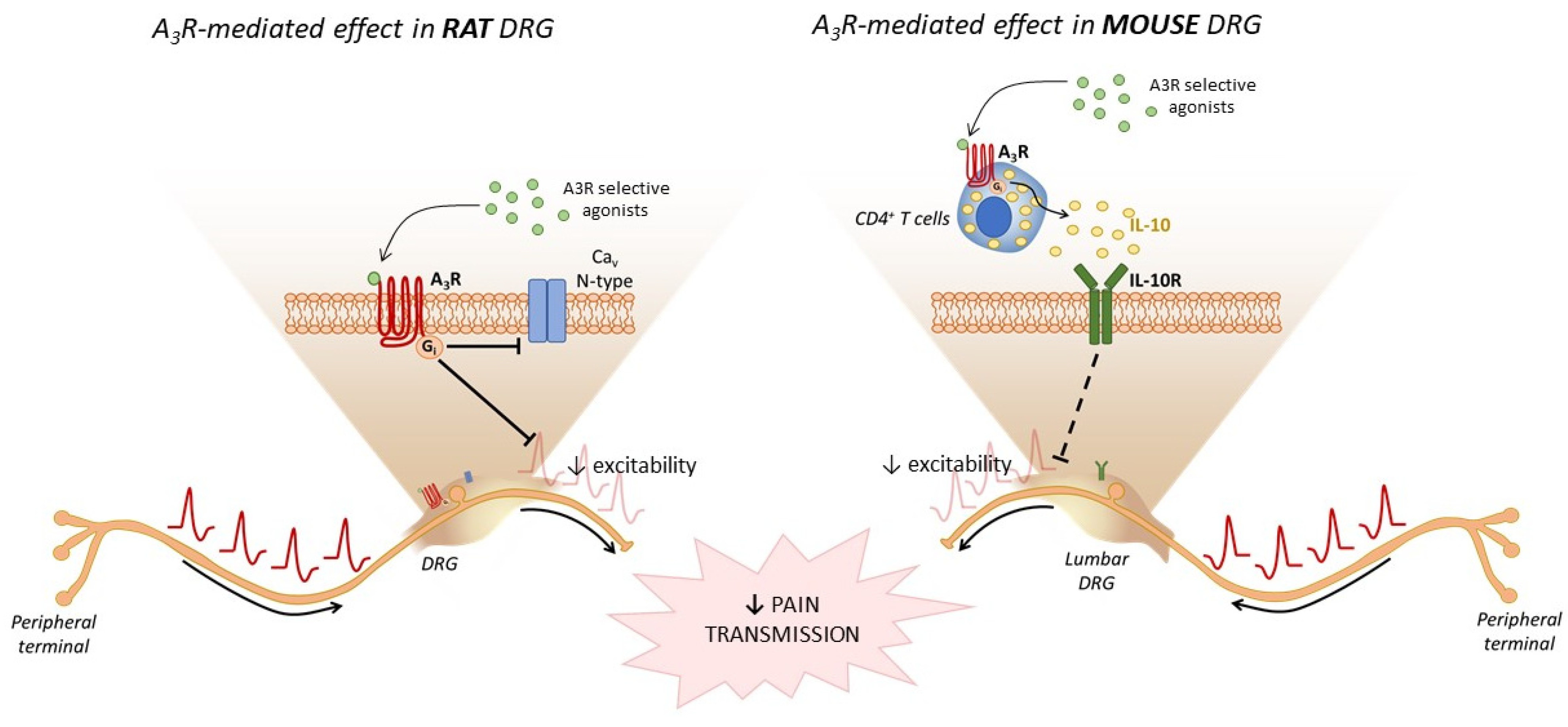 Molecules 27 01890 g003 Molecules 27 01890 g003