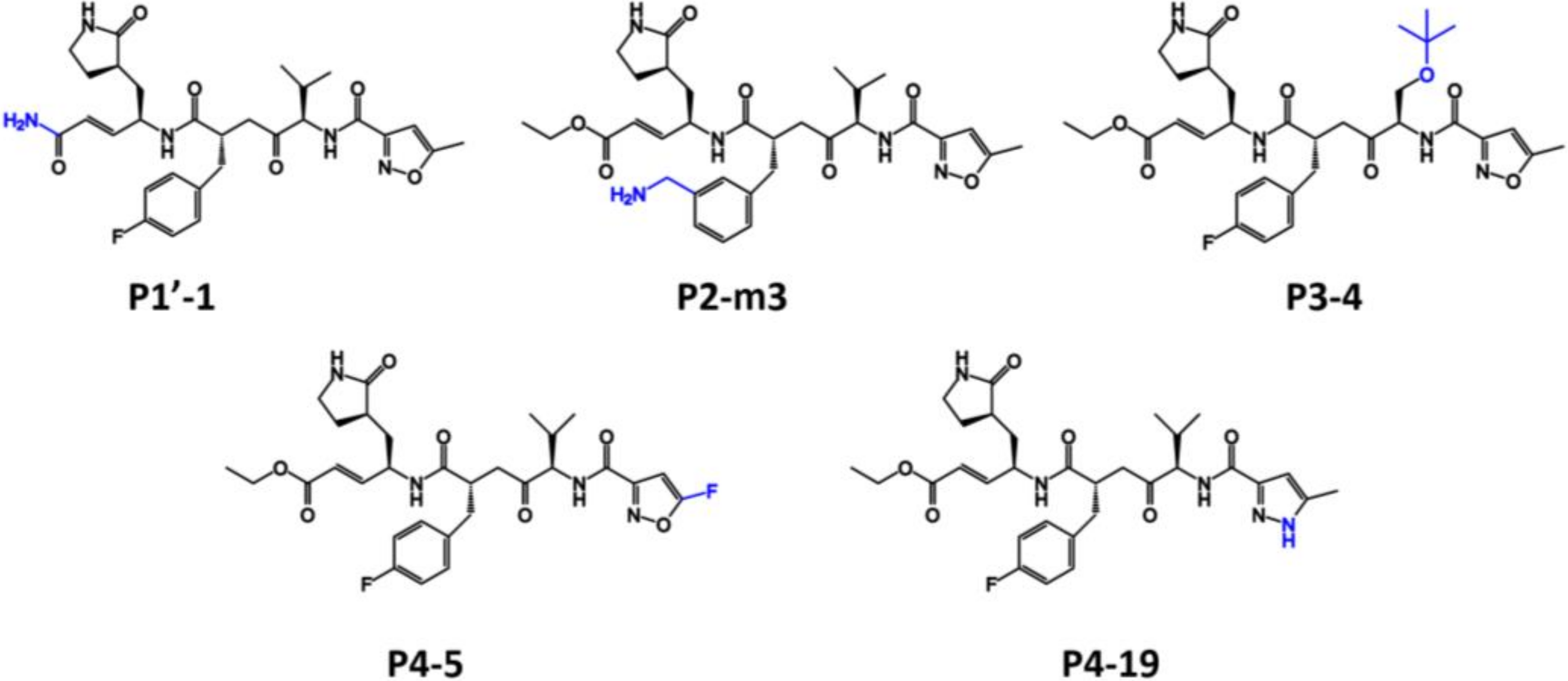 Molecules 27 01908 g002