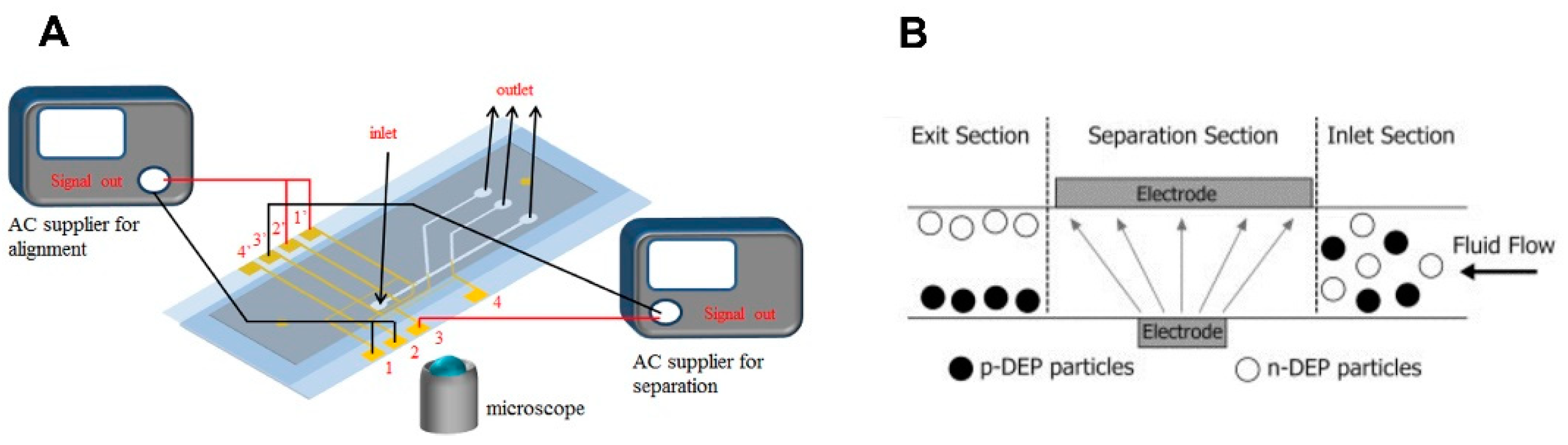 Molecules 27 01910 g003