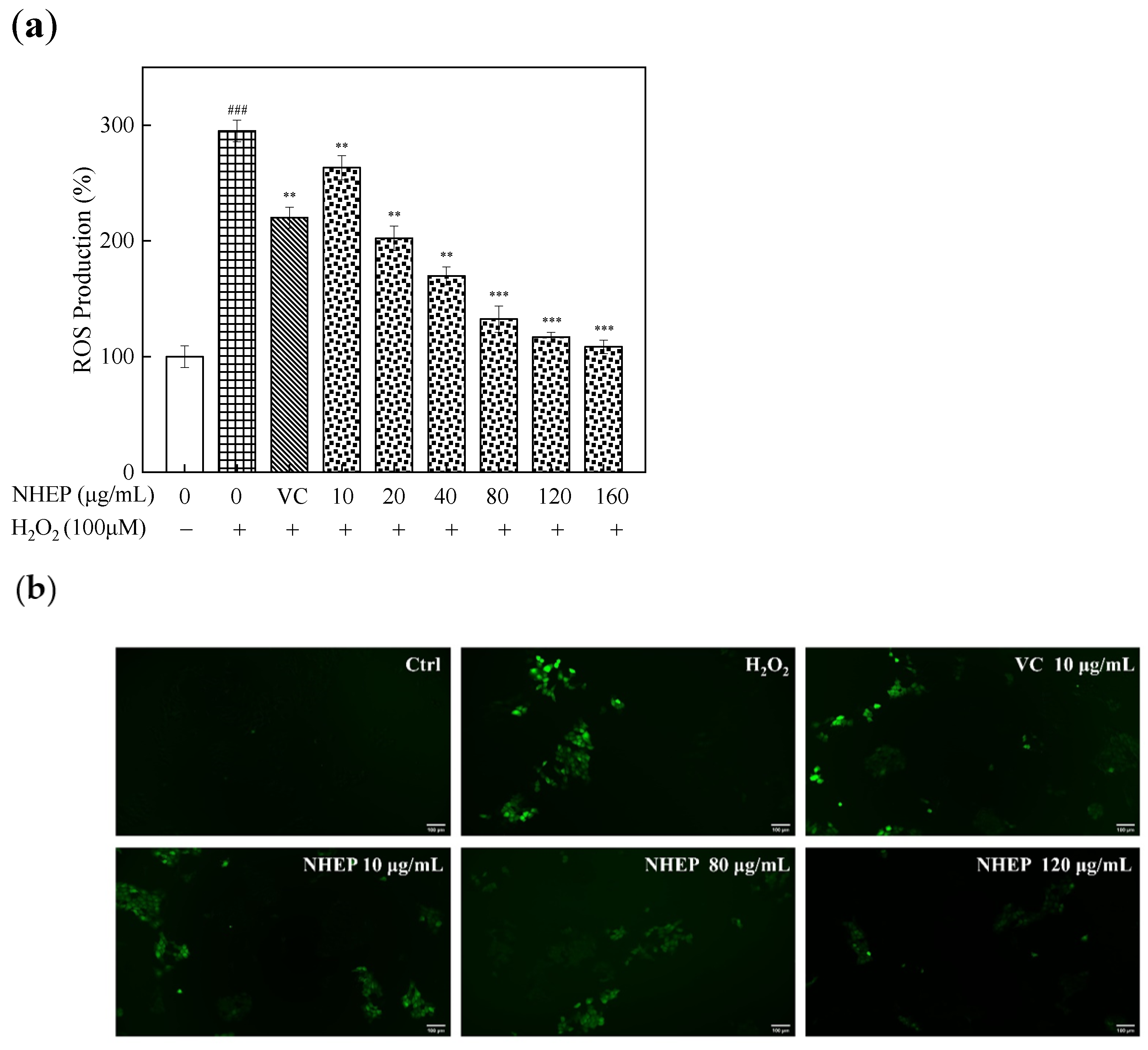 Molecules 27 01914 g010