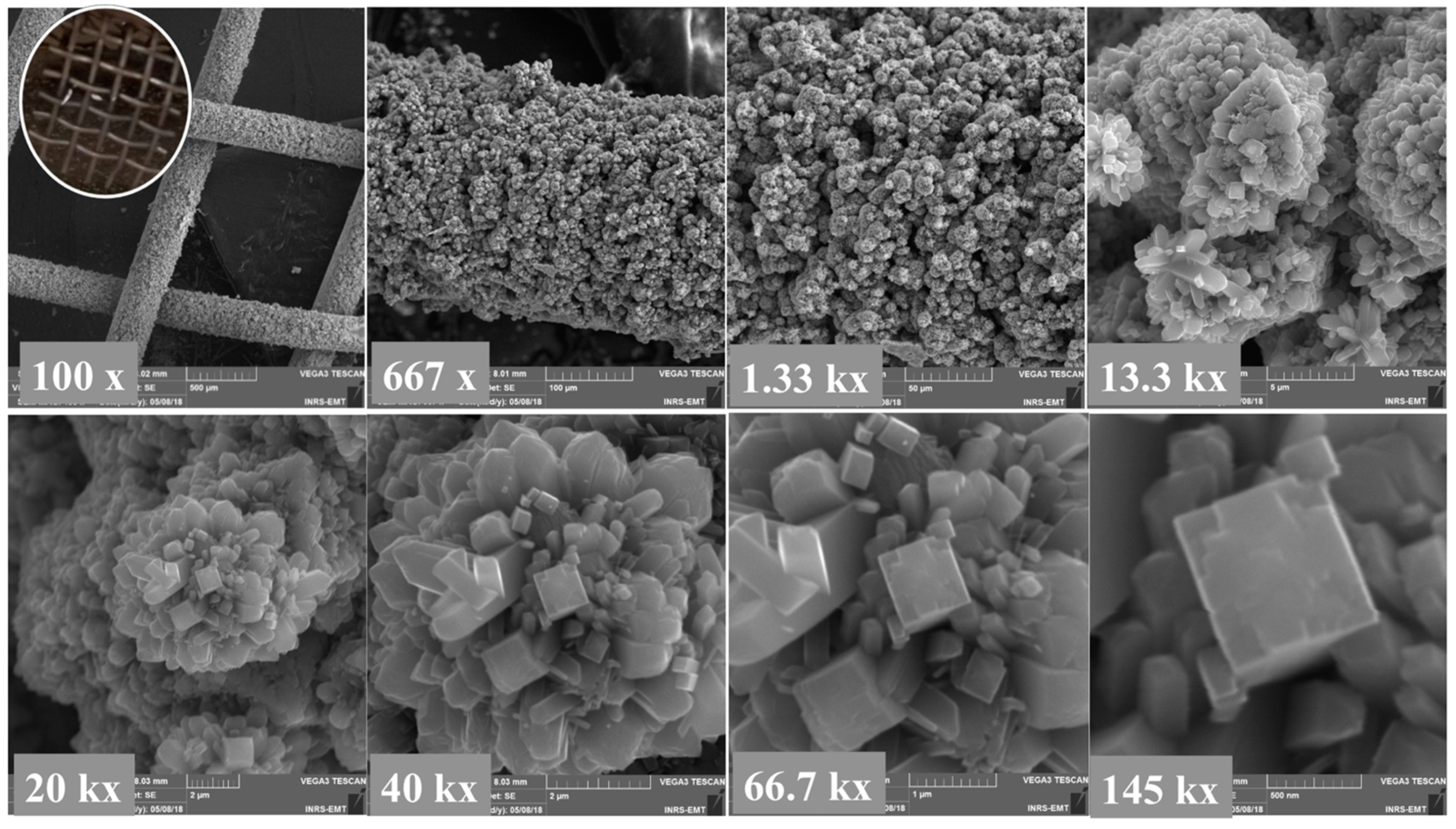 Molecules 27 01921 g001