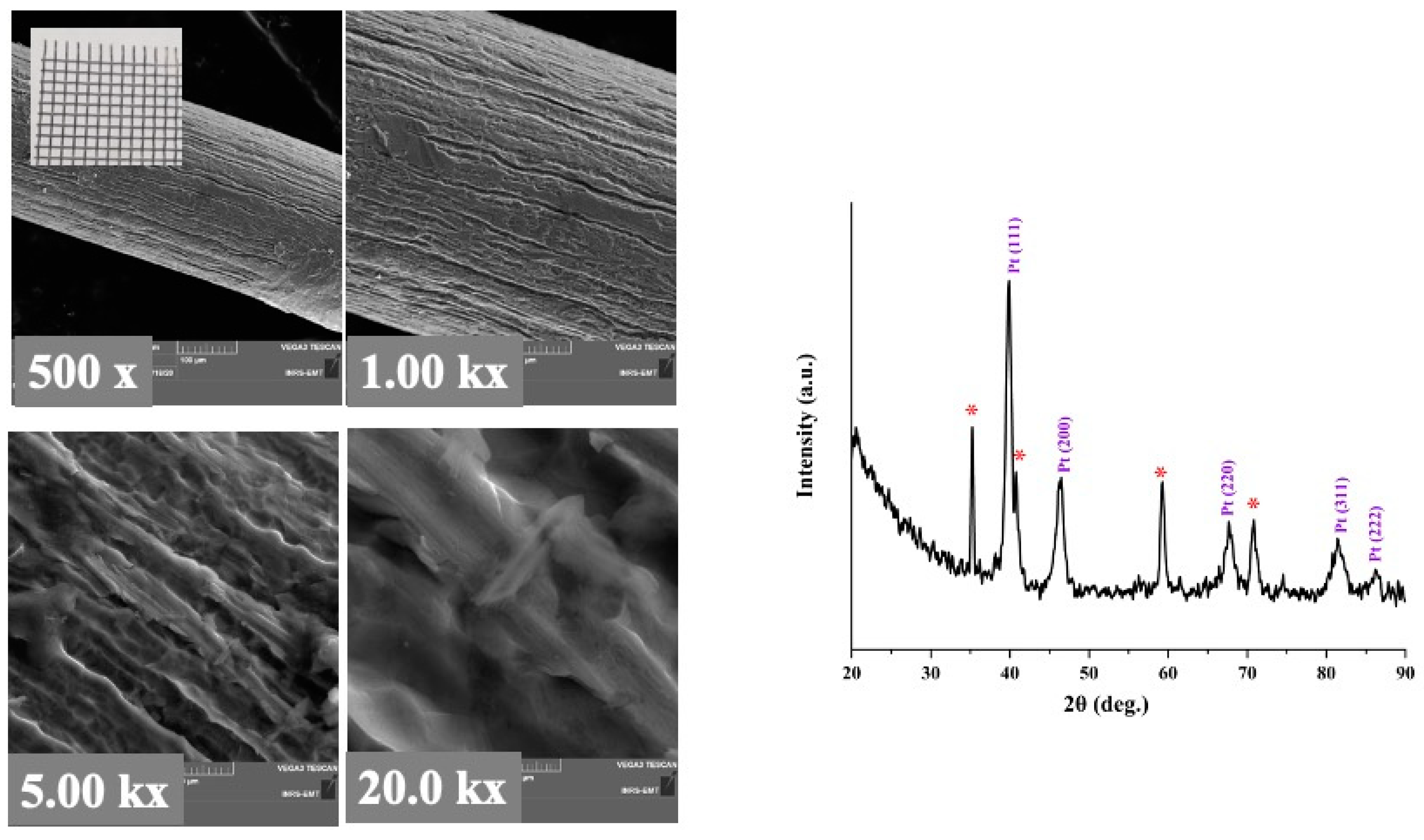 Molecules 27 01921 g004