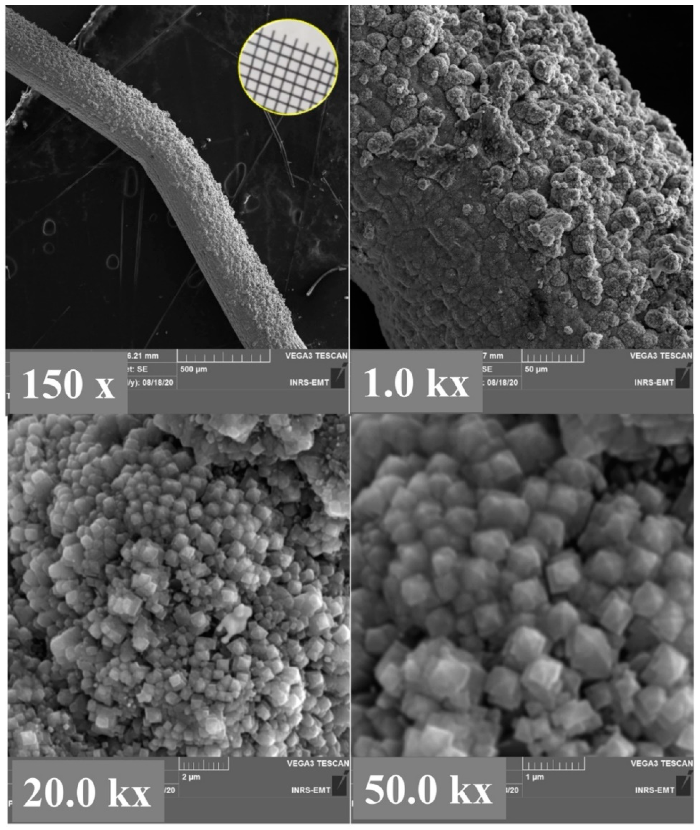 Molecules 27 01921 g005