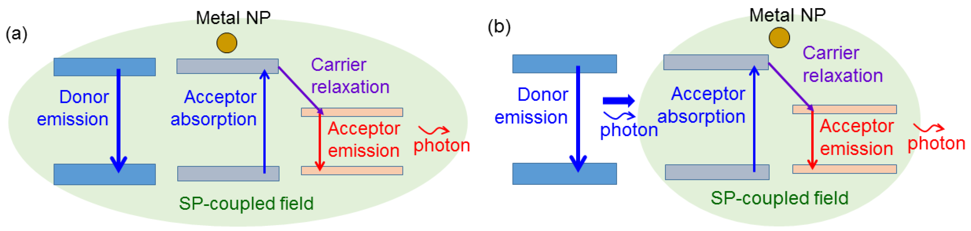 Molecules 27 01957 g003