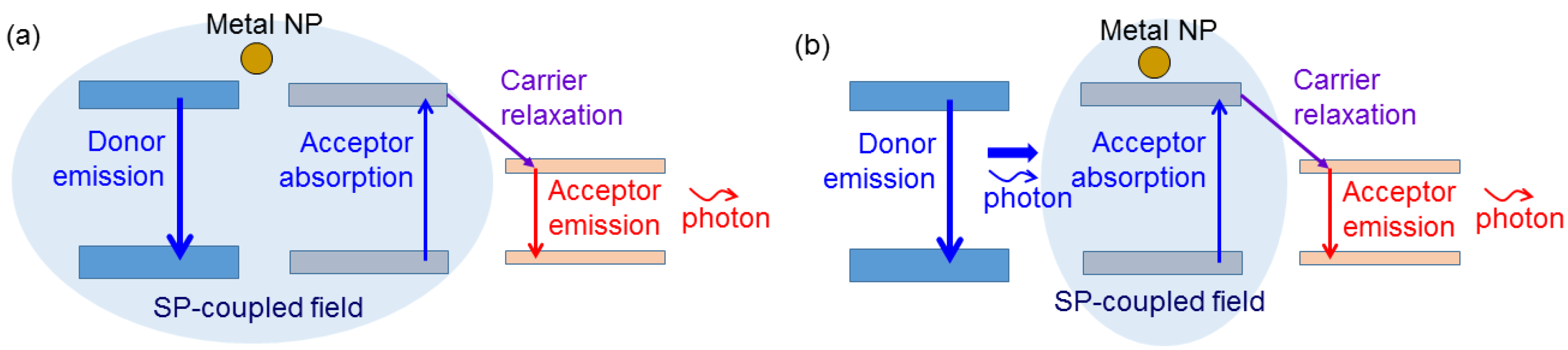 Molecules 27 01957 g004