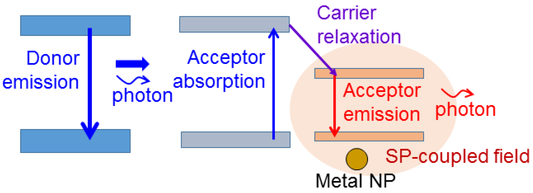 Molecules 27 01957 g005