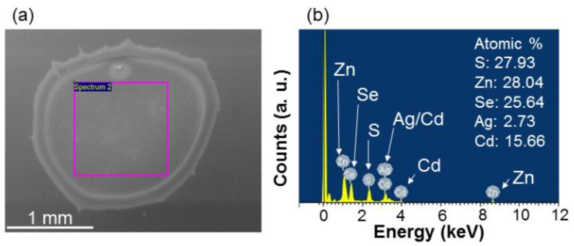 Molecules 27 01957 g008