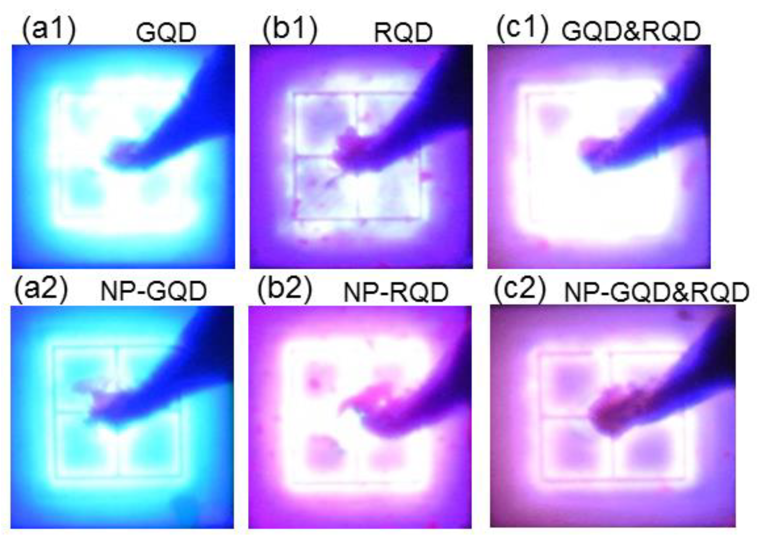 Molecules 27 01957 g009