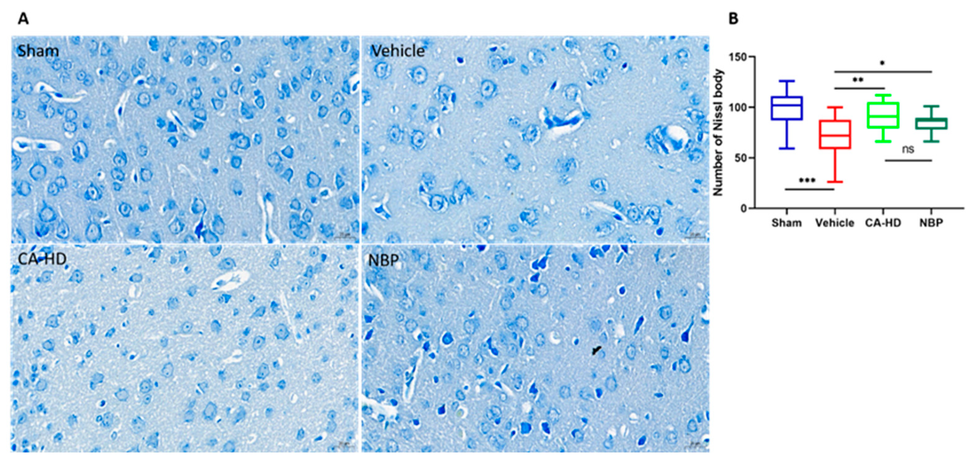 Molecules 27 01984 g002
