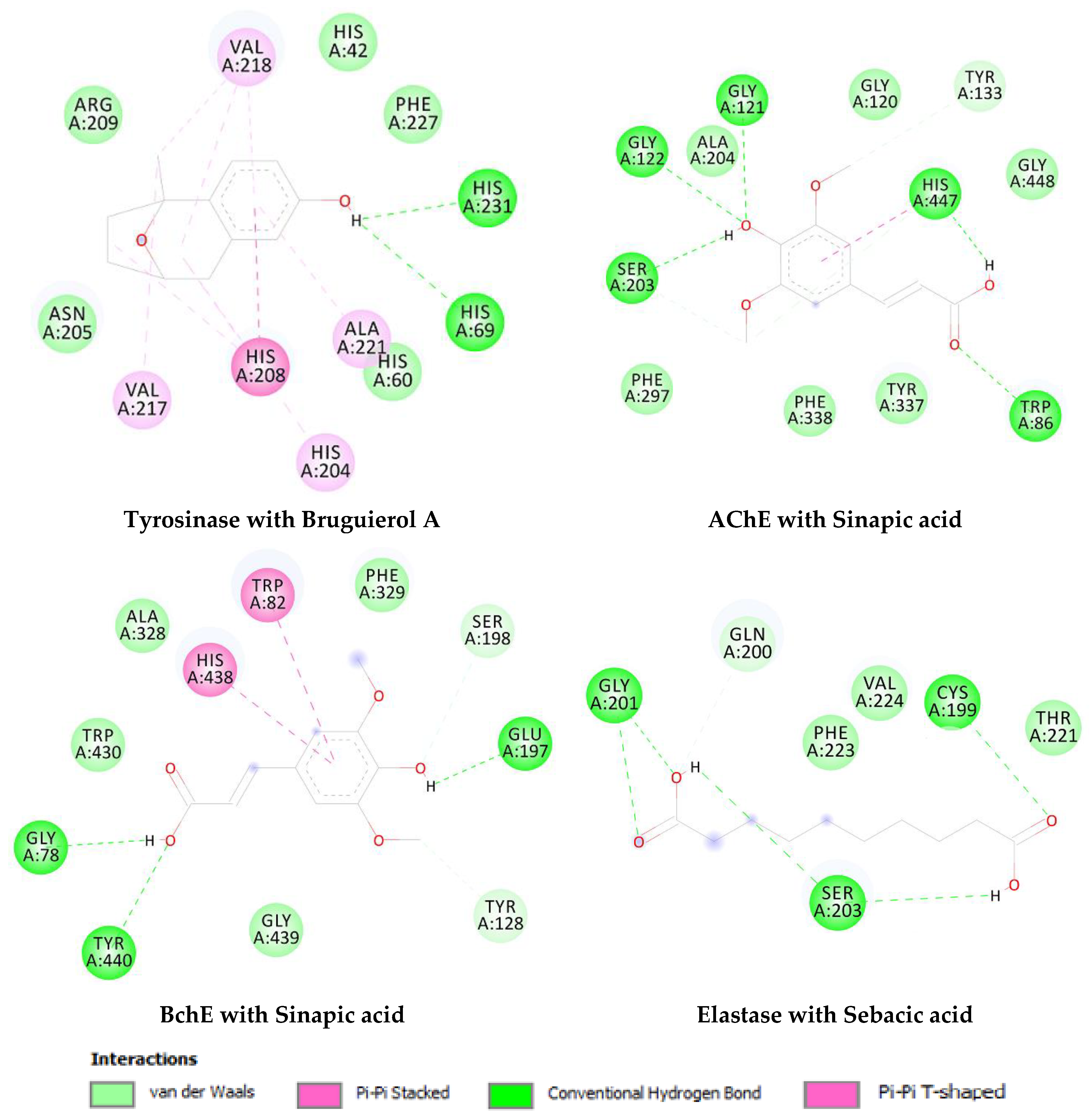 Molecules 27 02000 g006 Molecules 27 02000 g006