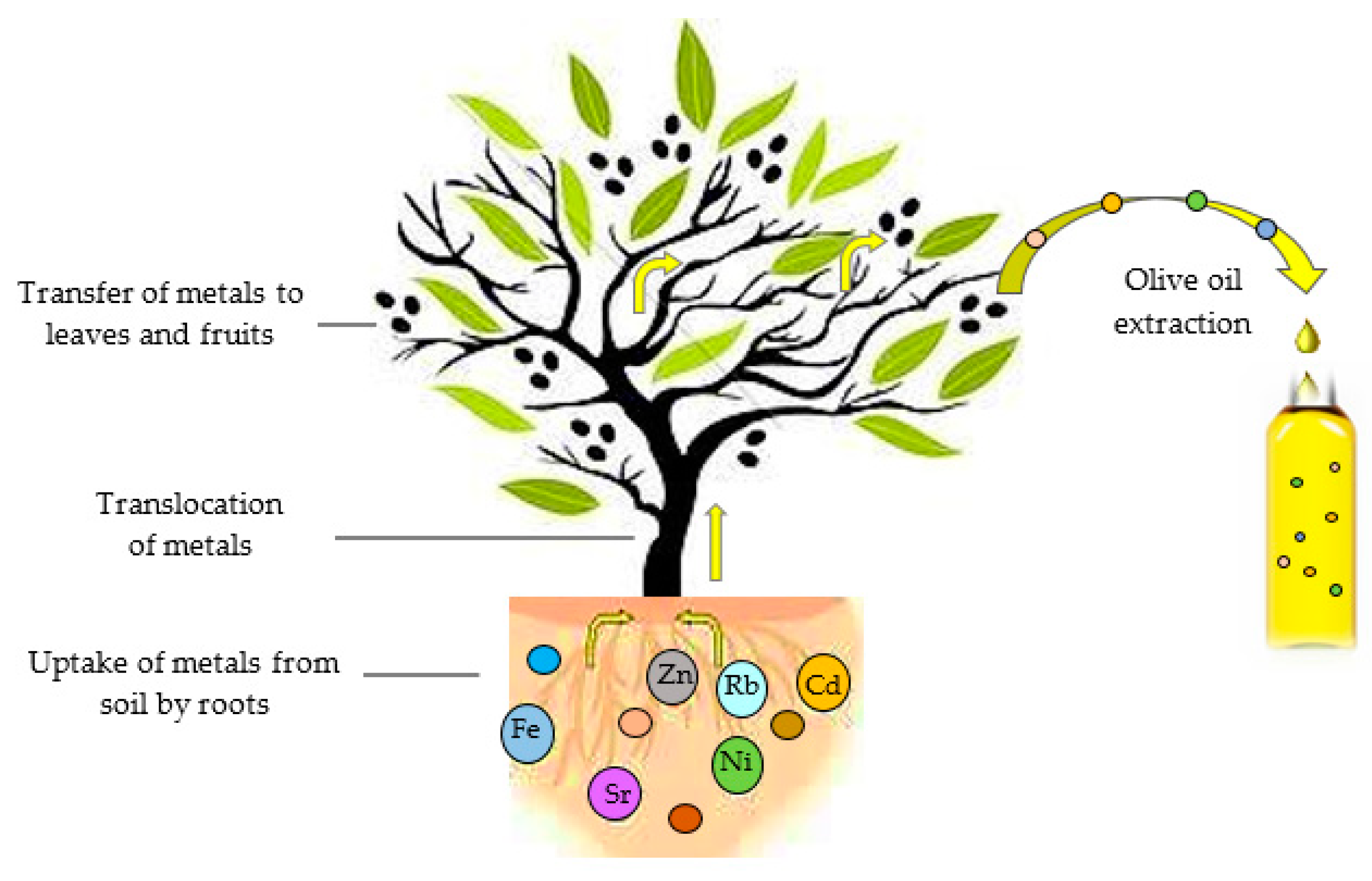 Molecules 27 02014 g002