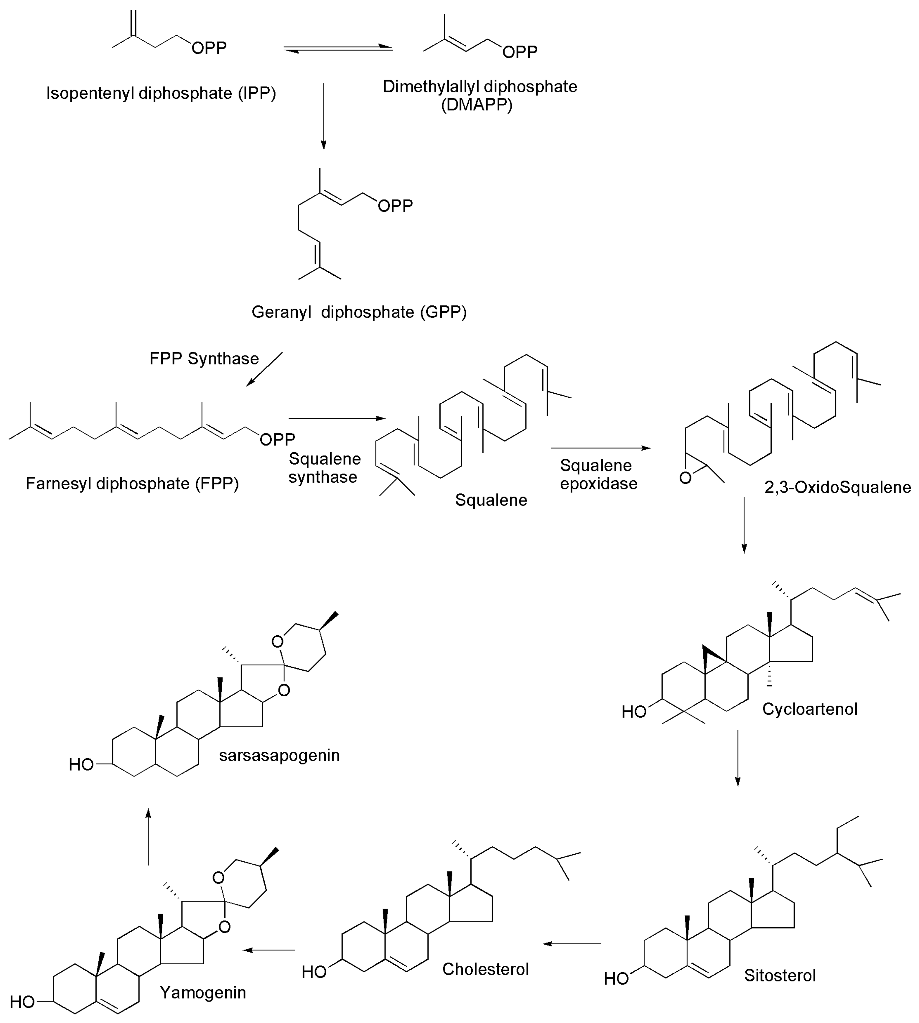 Molecules 27 02032 g002 Molecules 27 02032 g002
