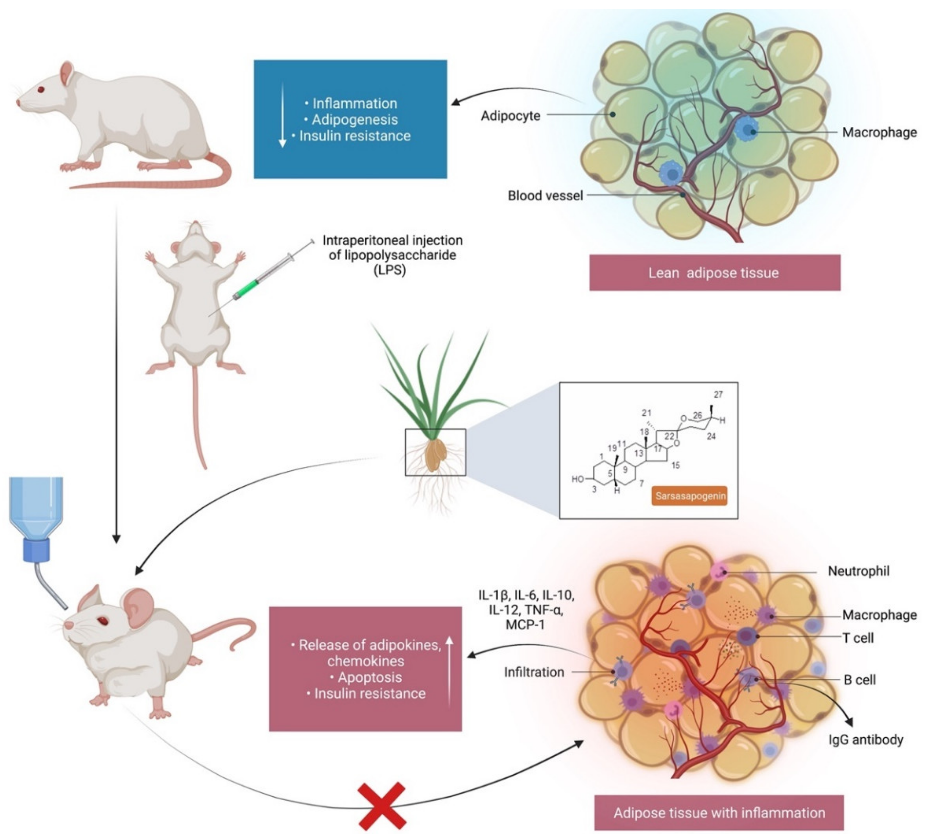 Molecules 27 02032 g003 Molecules 27 02032 g003