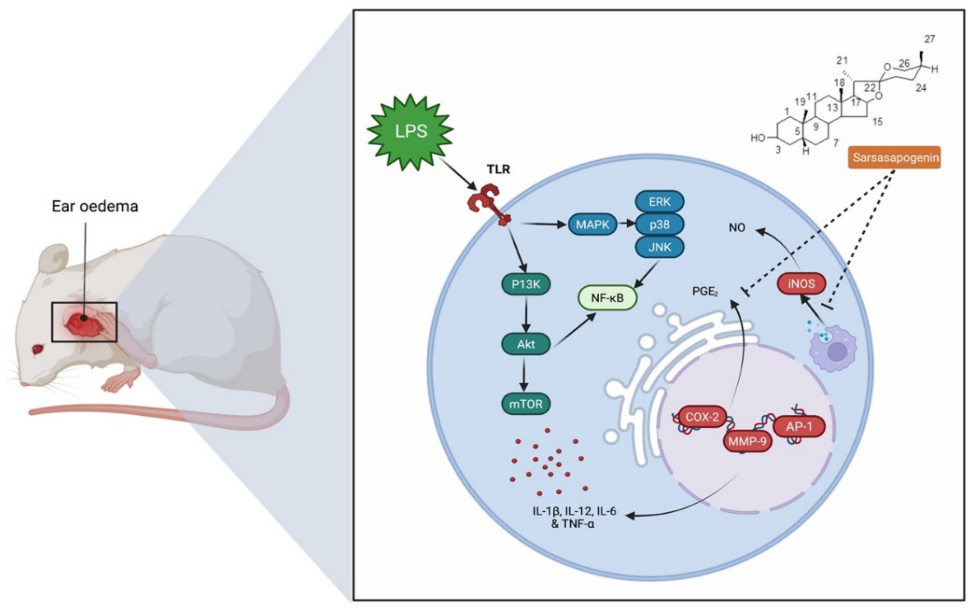 Molecules 27 02032 g004 Molecules 27 02032 g004