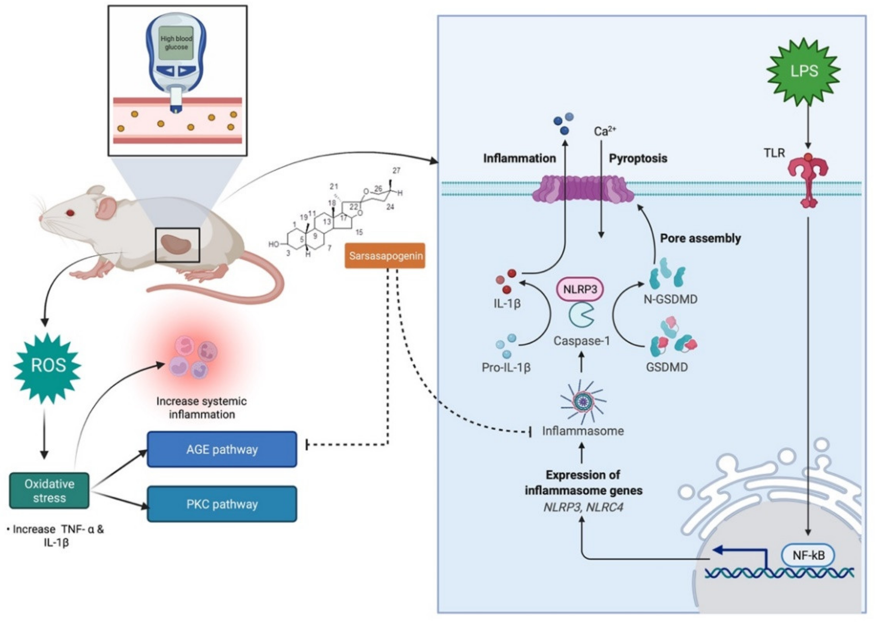 Molecules 27 02032 g006 Molecules 27 02032 g006