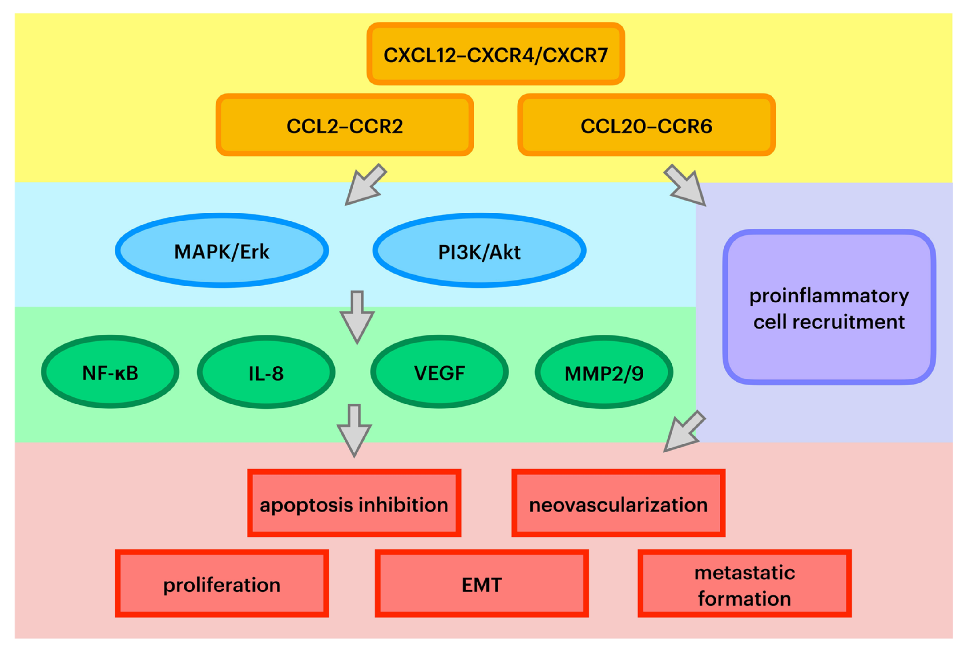 Molecules | Free Full-Text | The Exploration of Chemokines Importance in  the Pathogenesis and Development of Endometrial Cancer