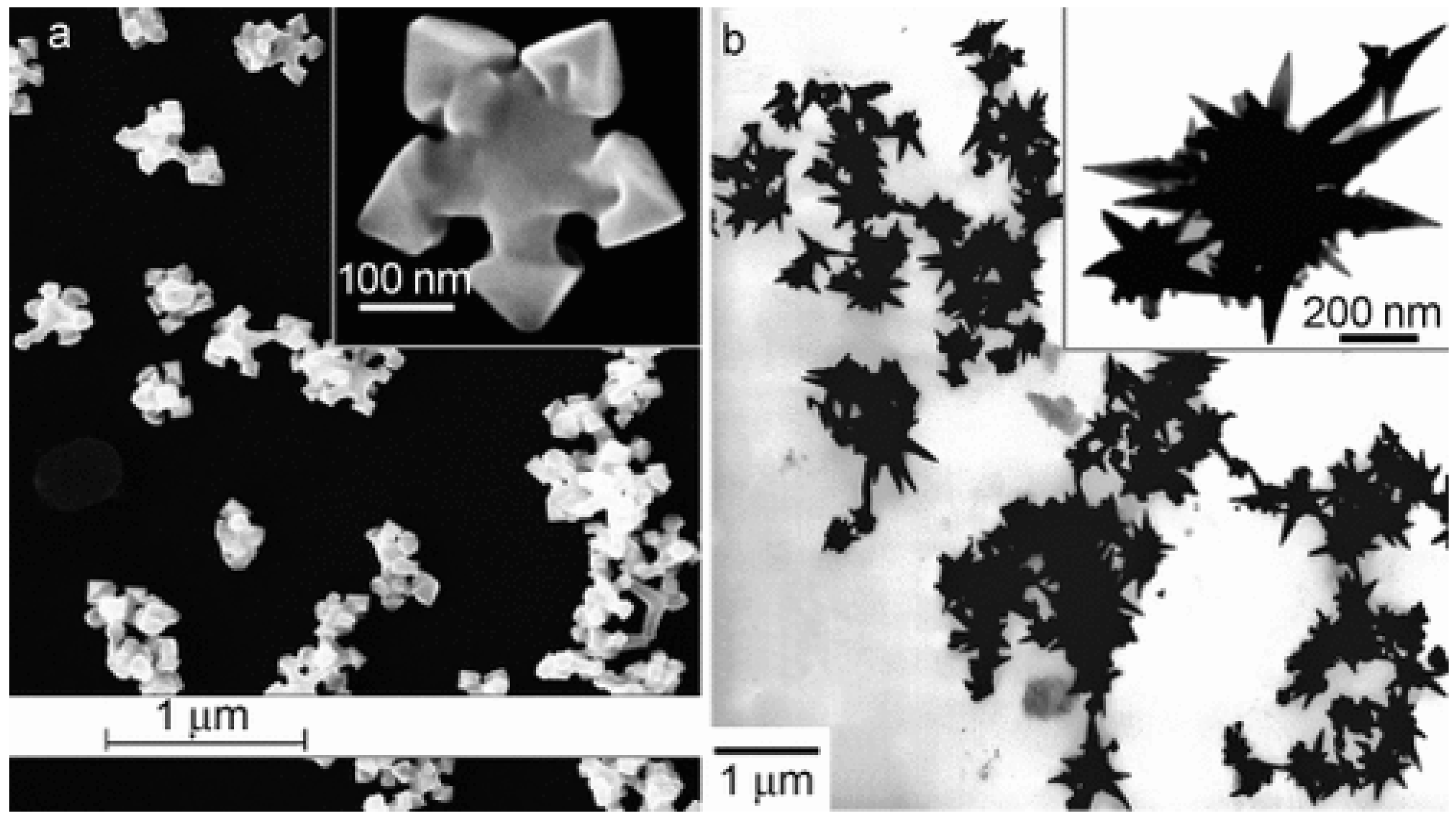 Molecules 27 02045 g002