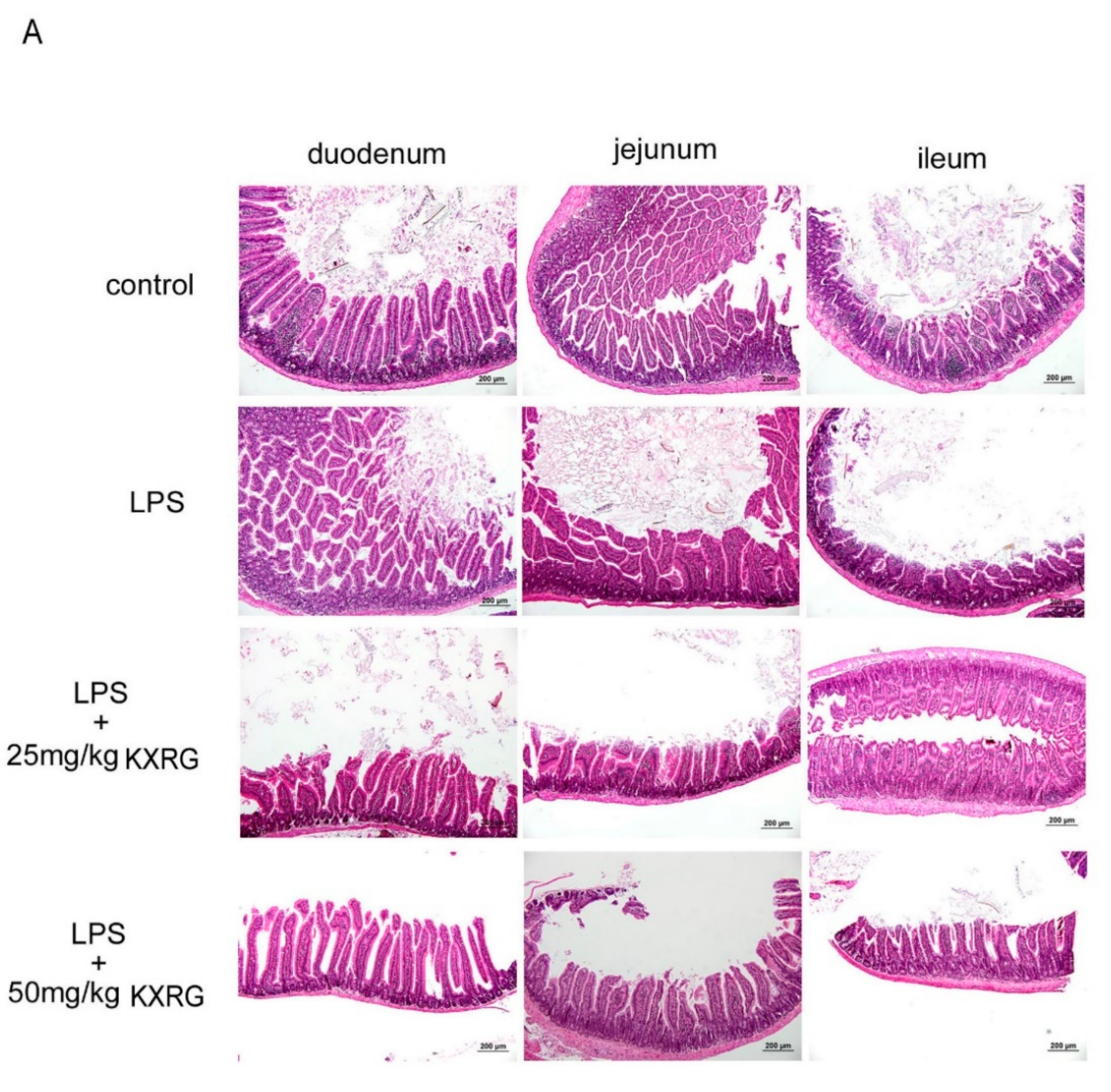 Molecules 27 02055 g004a