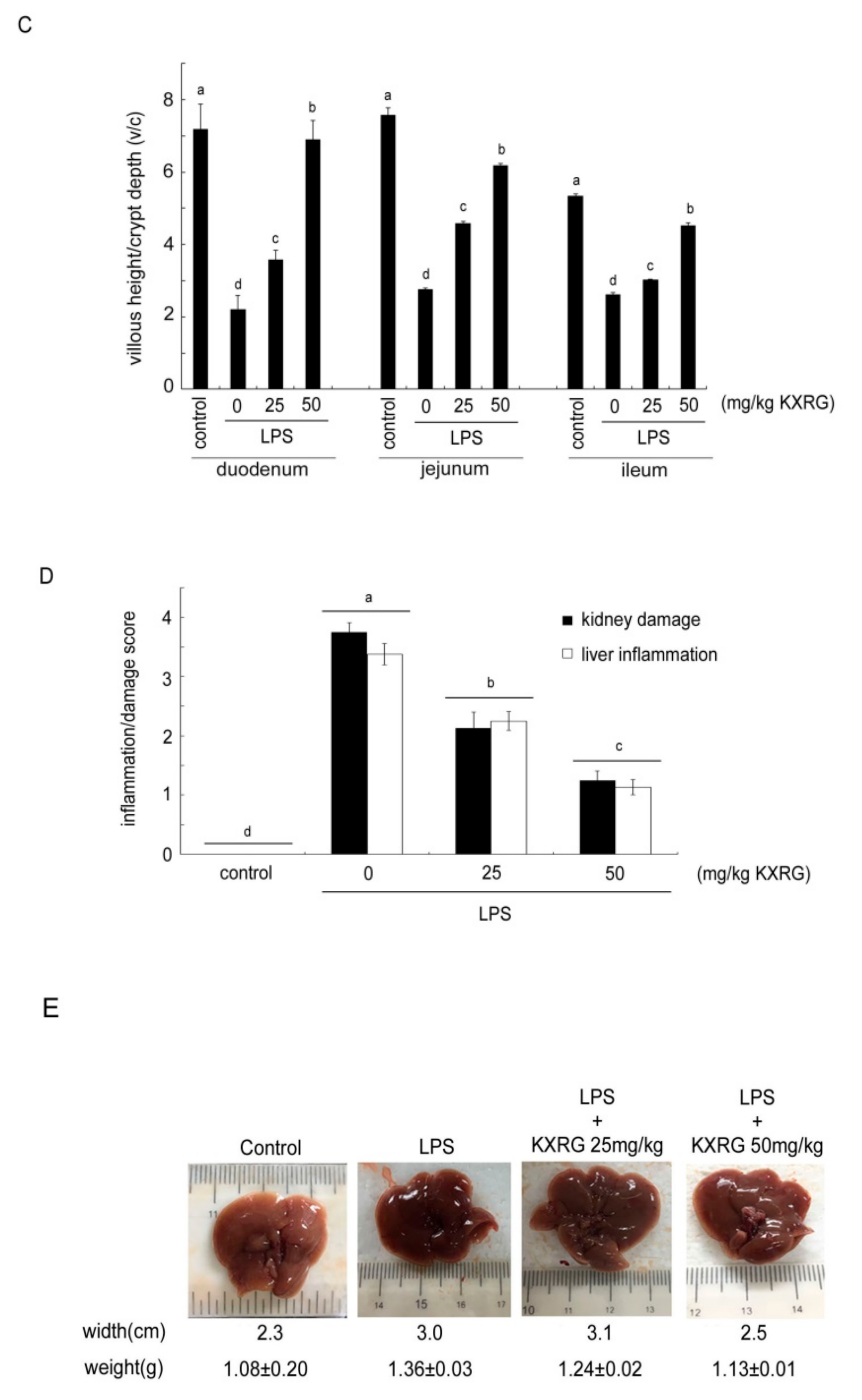 Molecules 27 02055 g004c