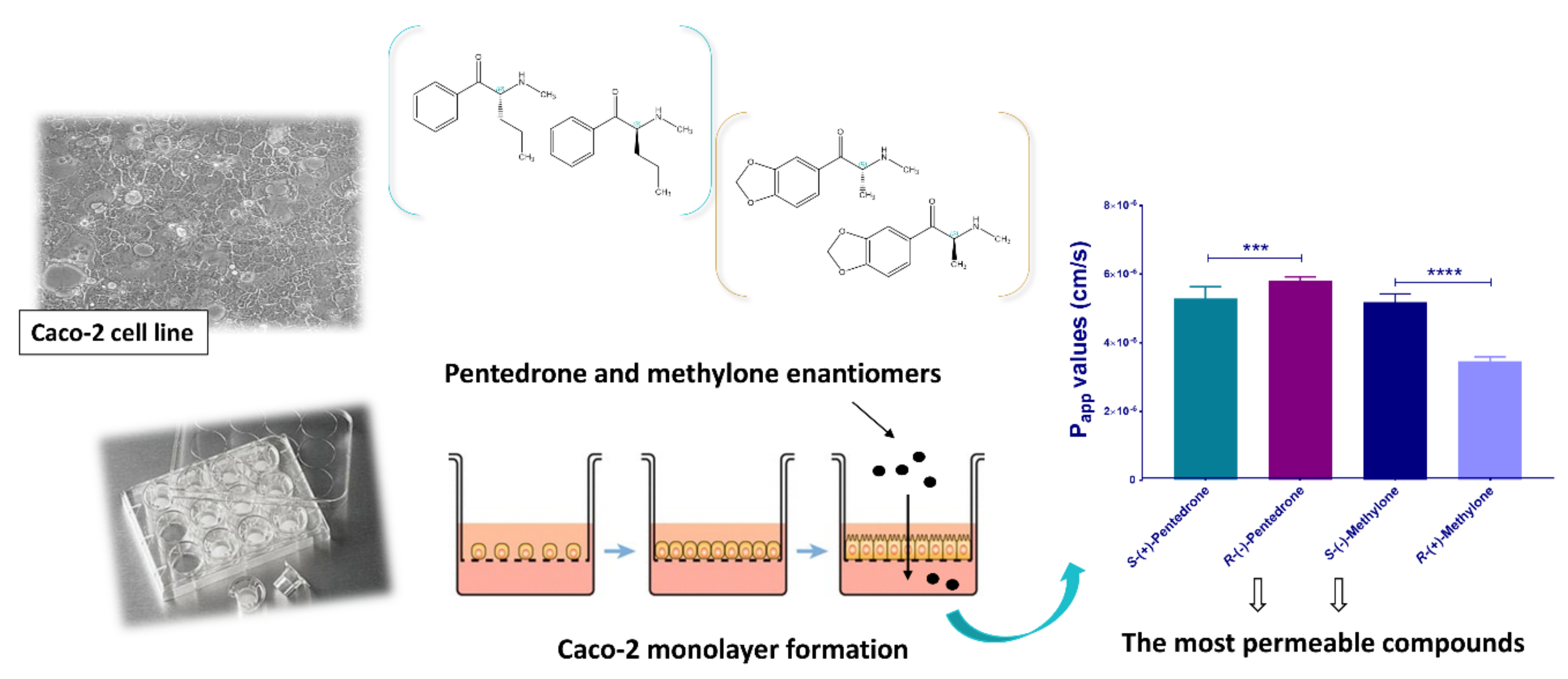 Molecules 27 02057 g015