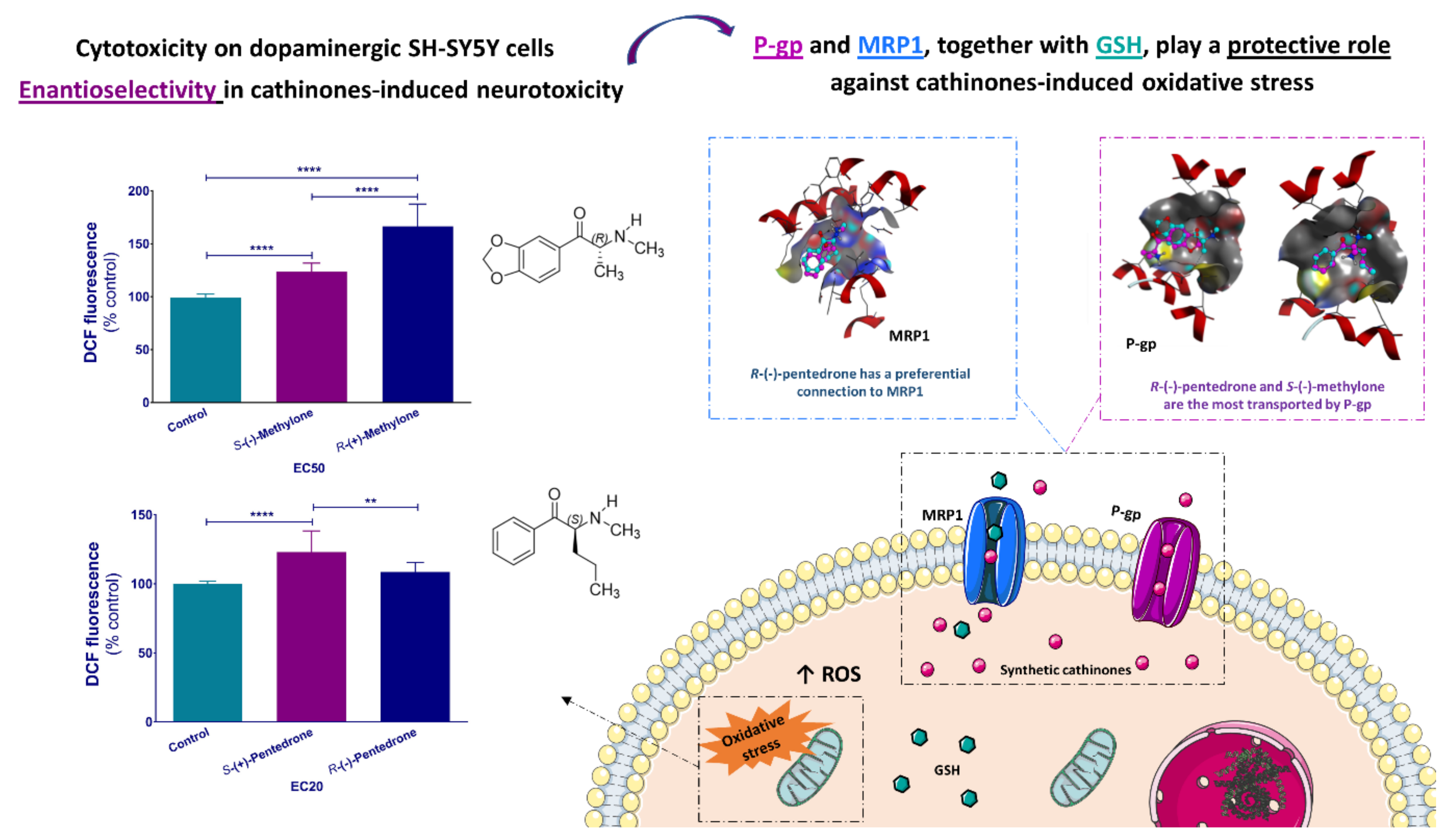 Molecules 27 02057 g016