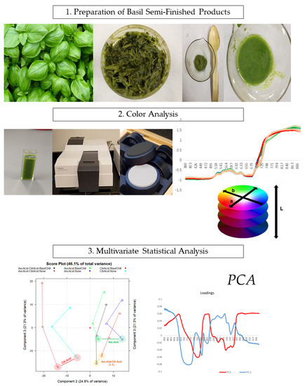 Molecules Free Full Text A Preliminary Color Study of