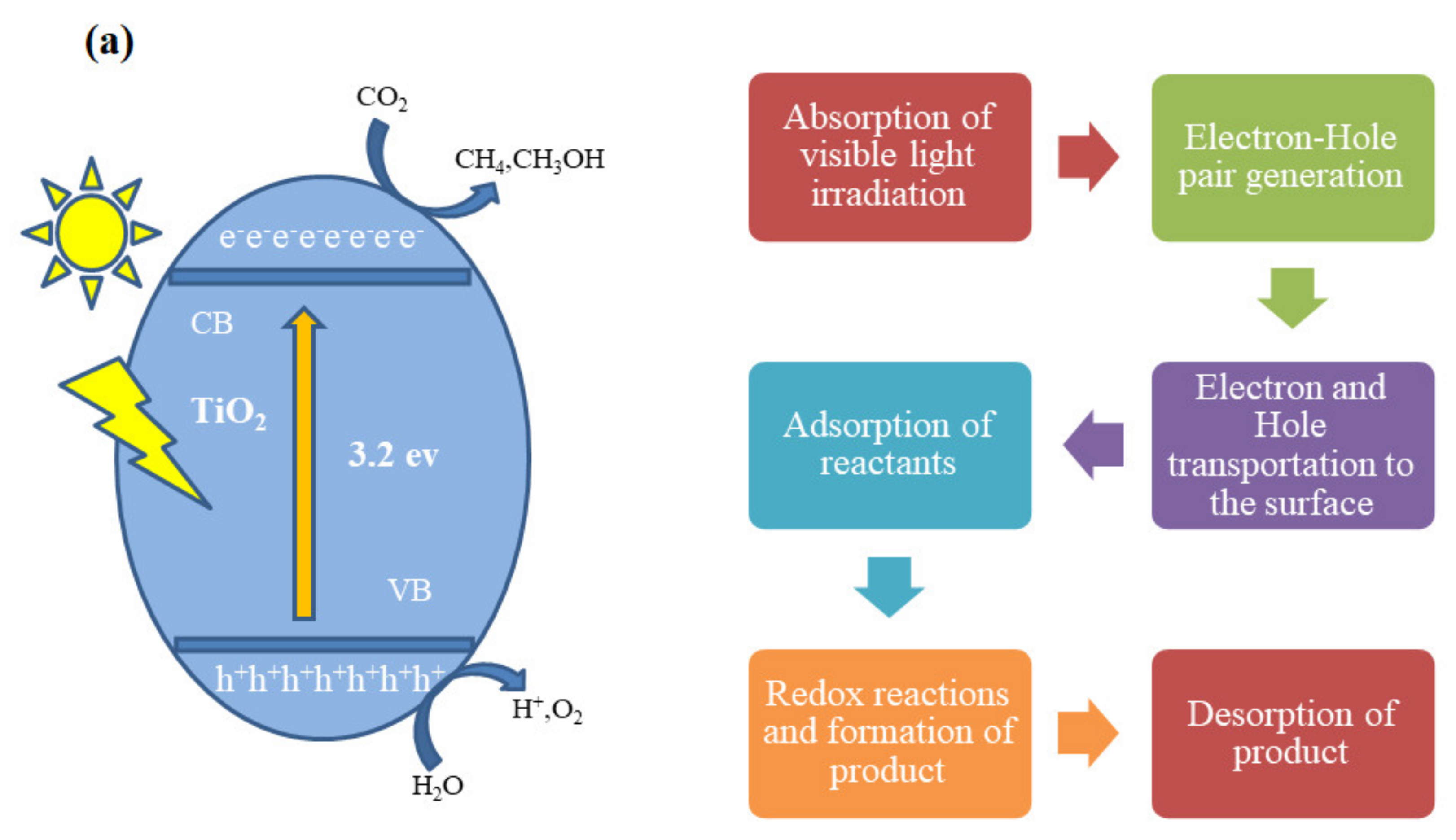 Molecules 27 02069 g004a