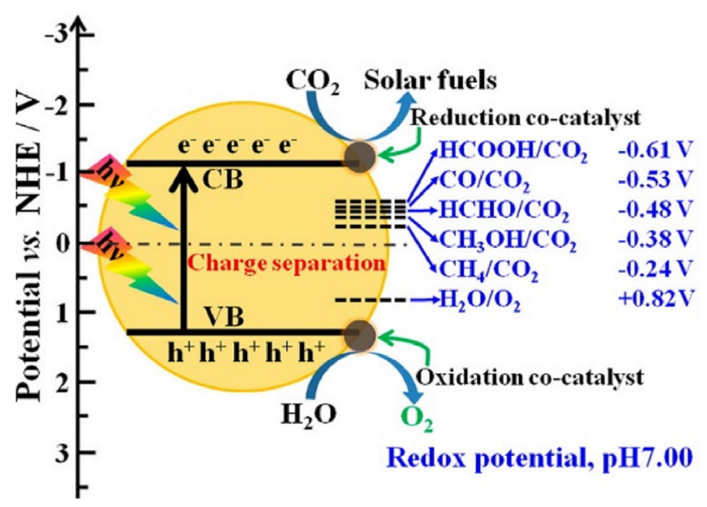 Molecules 27 02069 g005