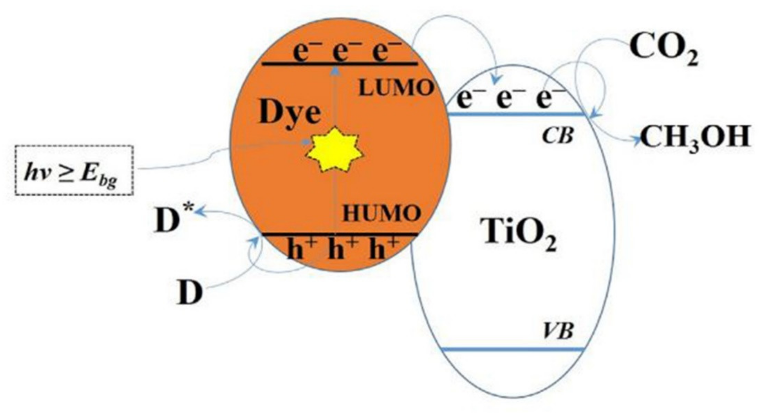 Molecules 27 02069 g022