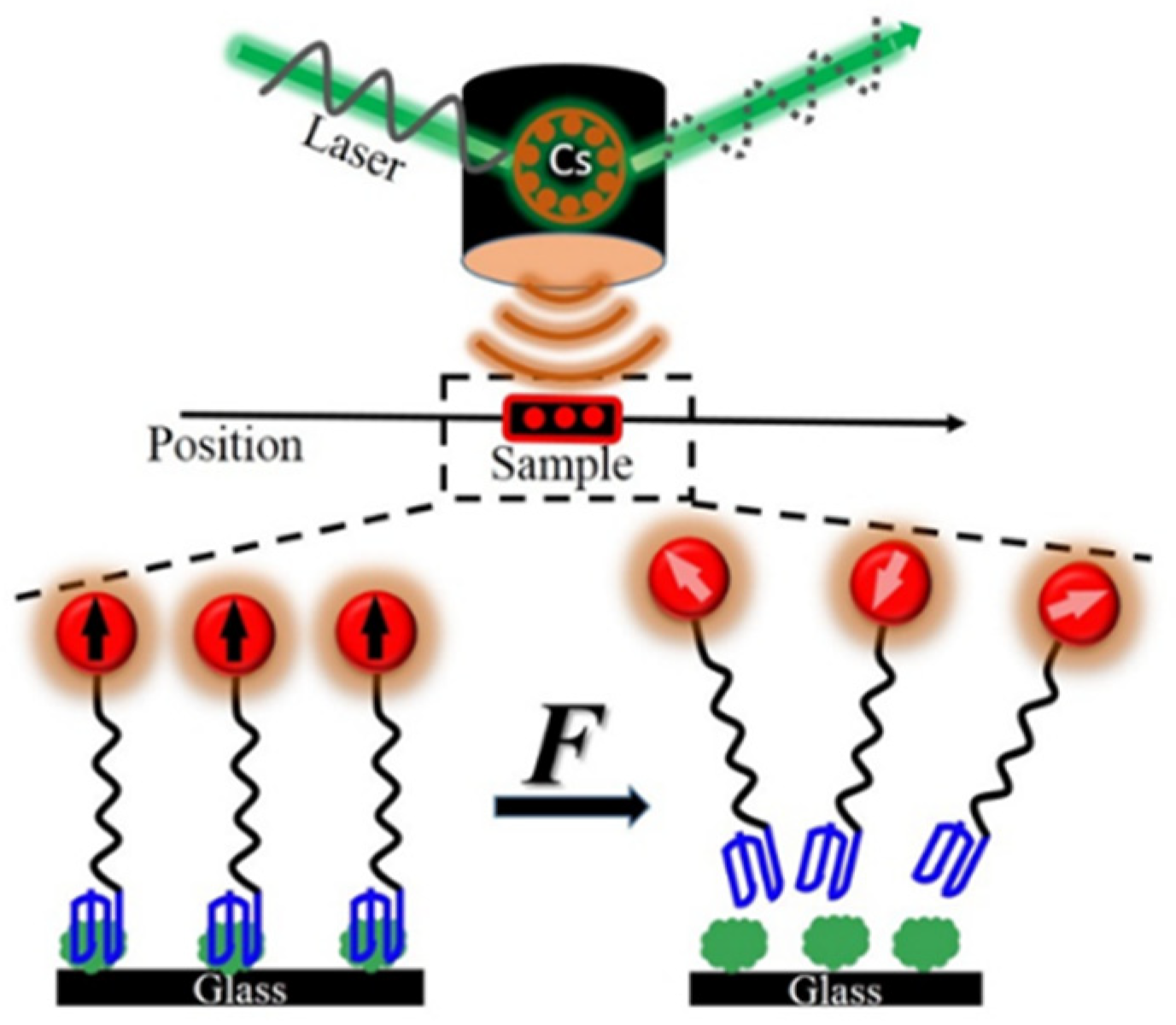 Molecules 27 02072 g001