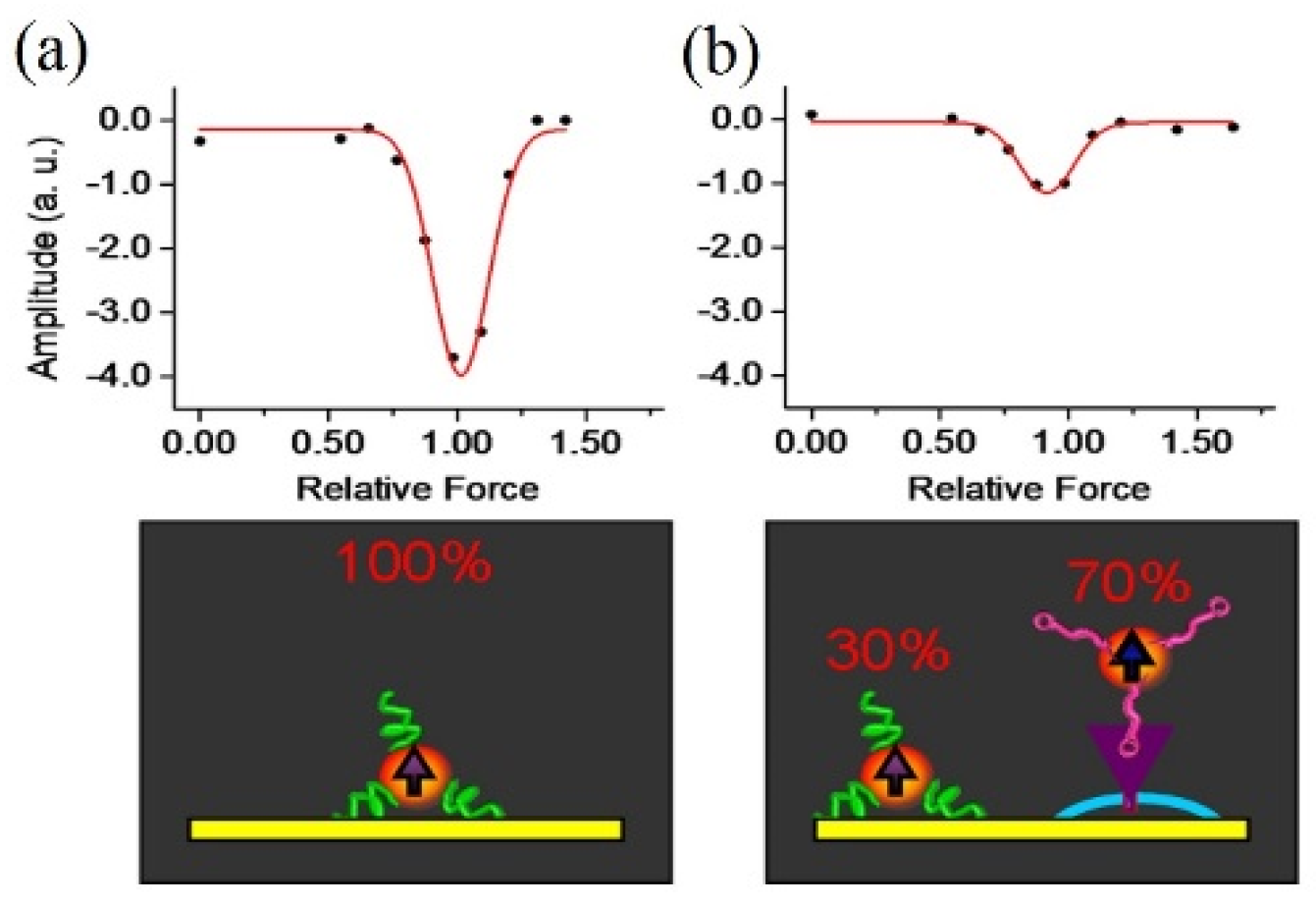 Molecules 27 02072 g003