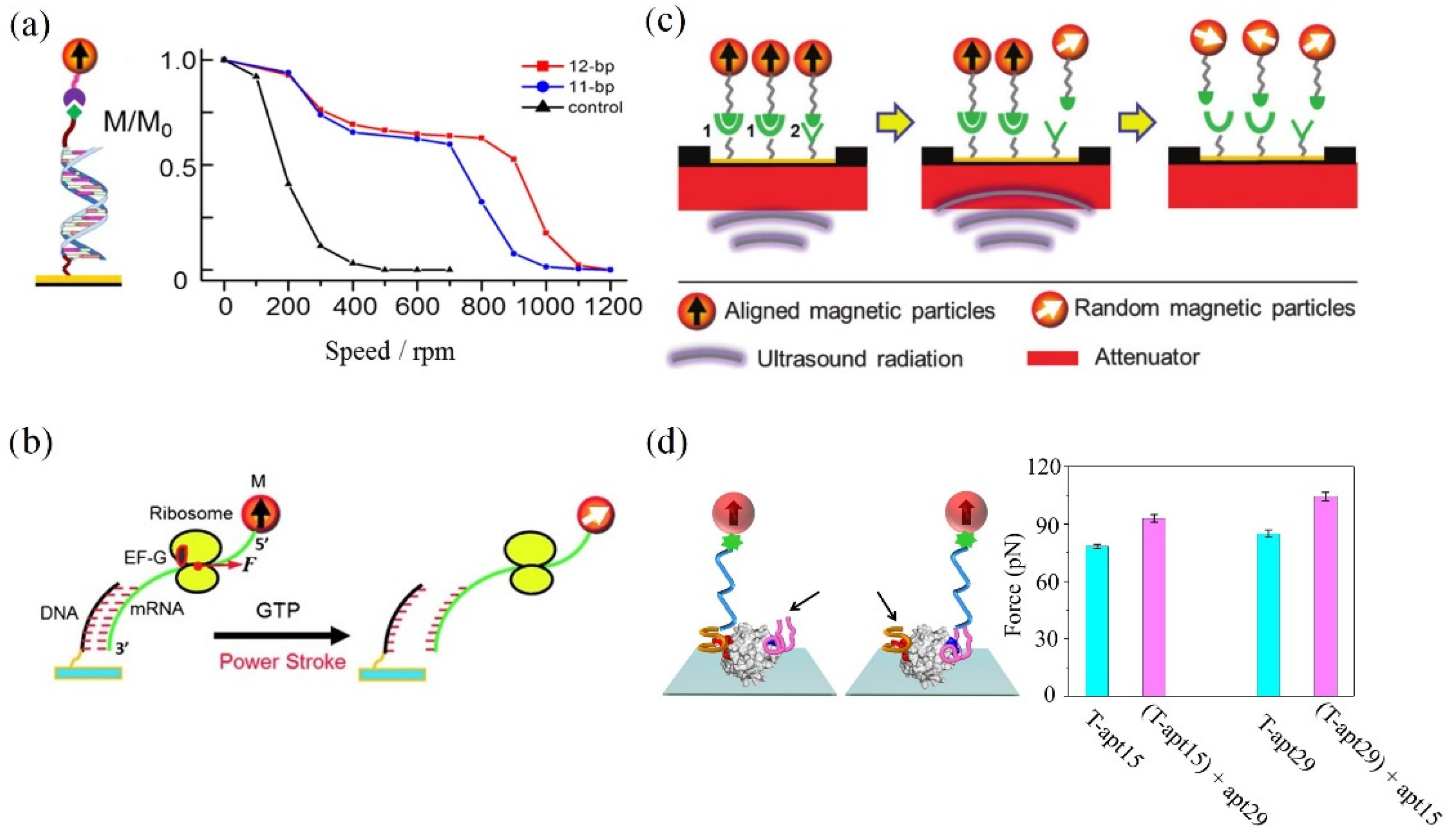 Molecules 27 02072 g004