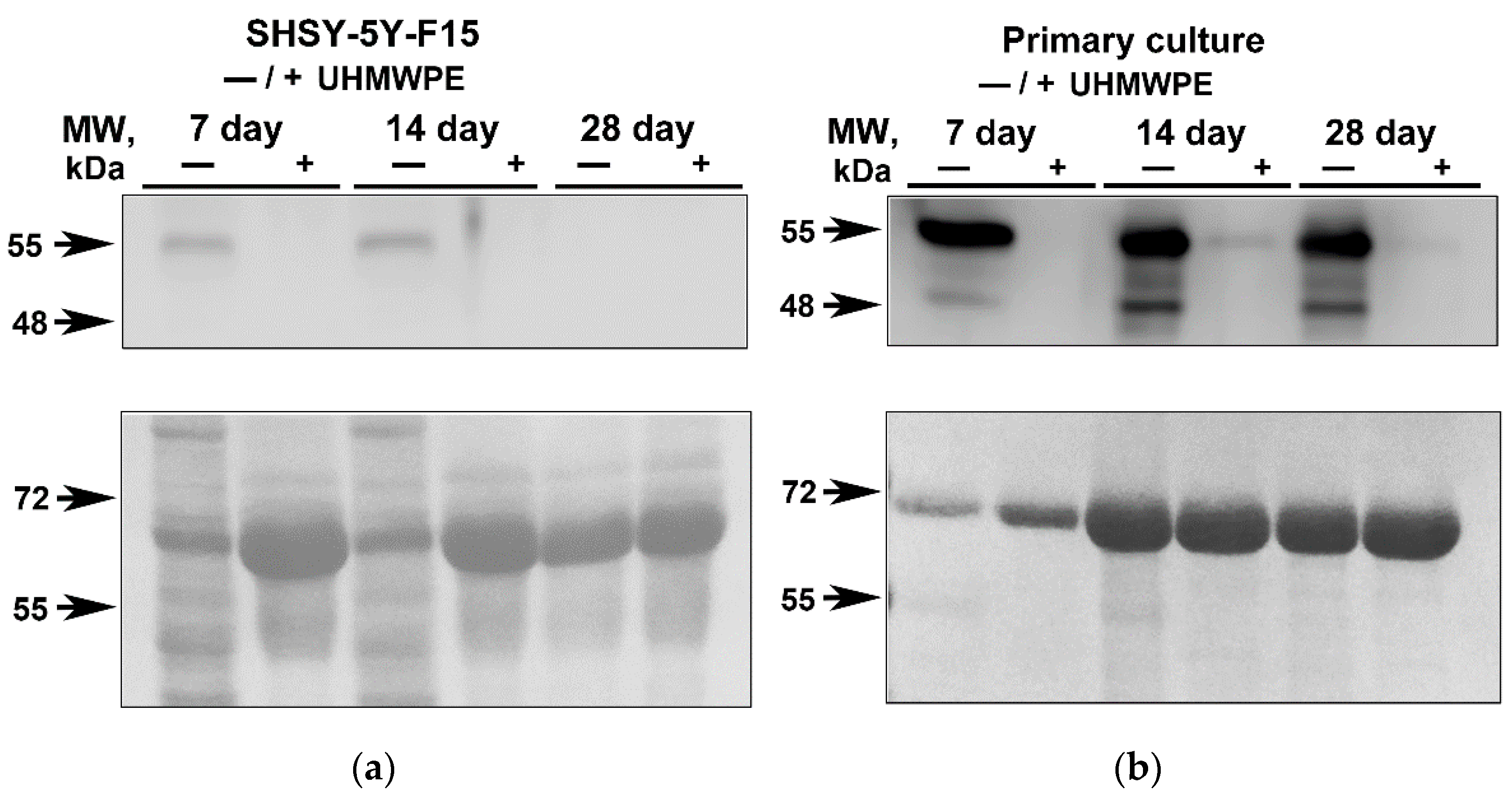 Molecules 27 02087 g003