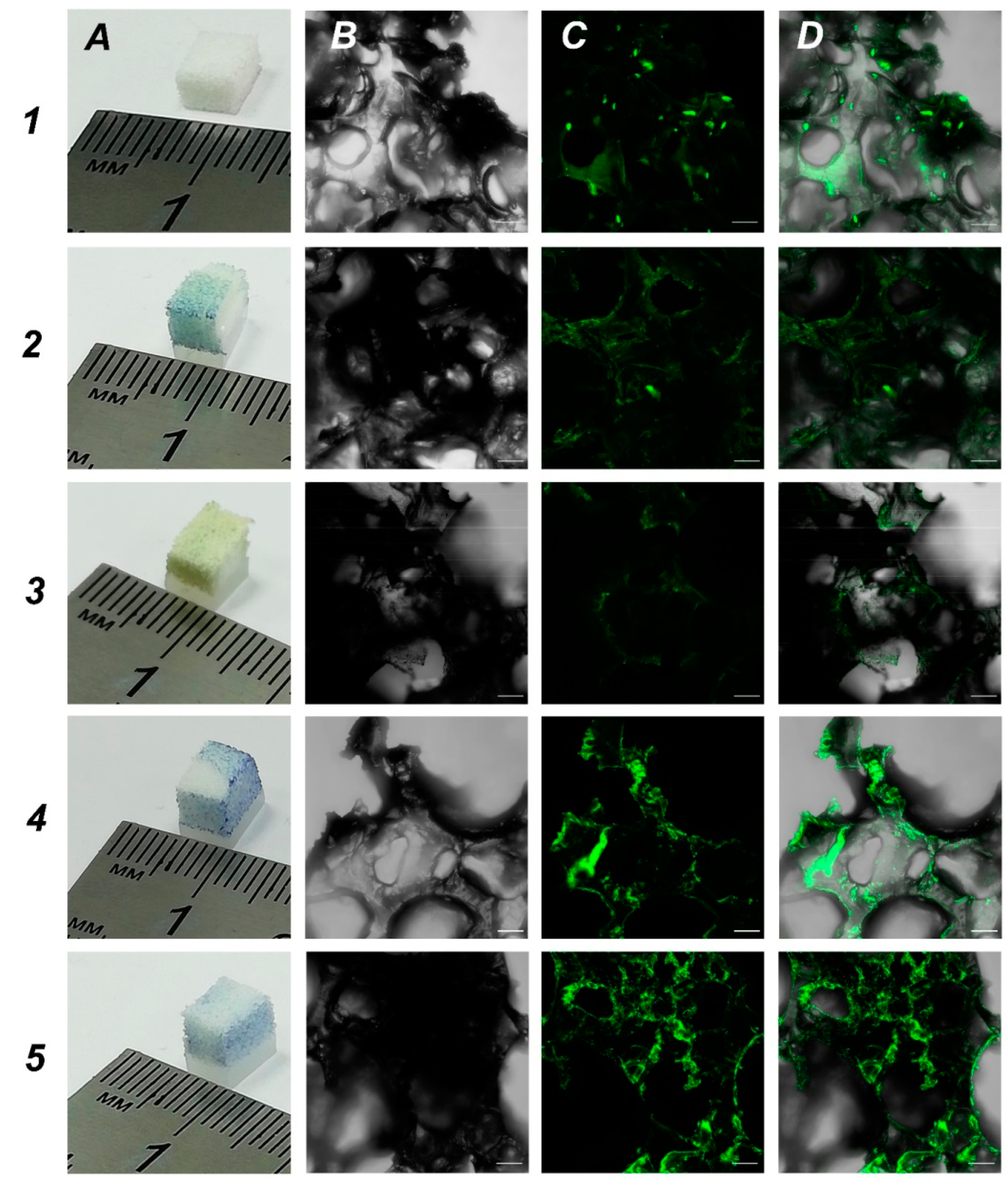 Molecules 27 02087 g004