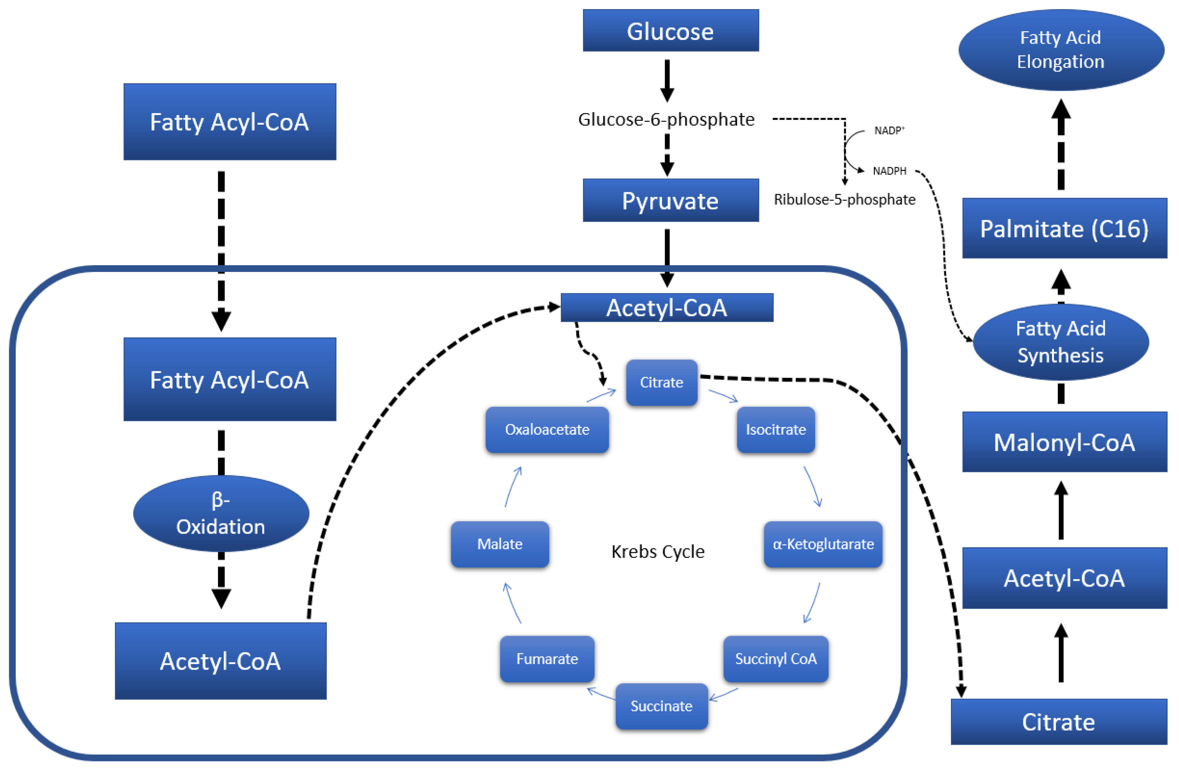 Molecules 27 02094 g004