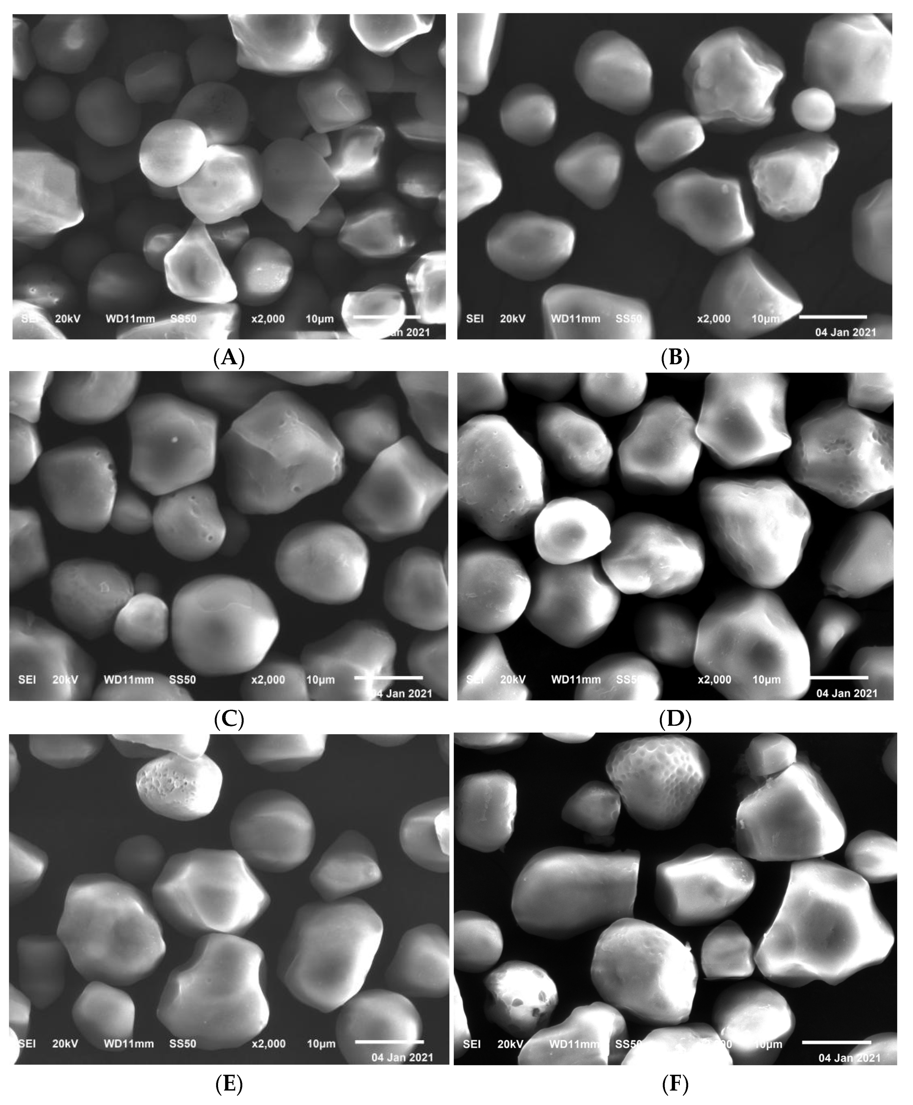 Molecules 27 02119 g003