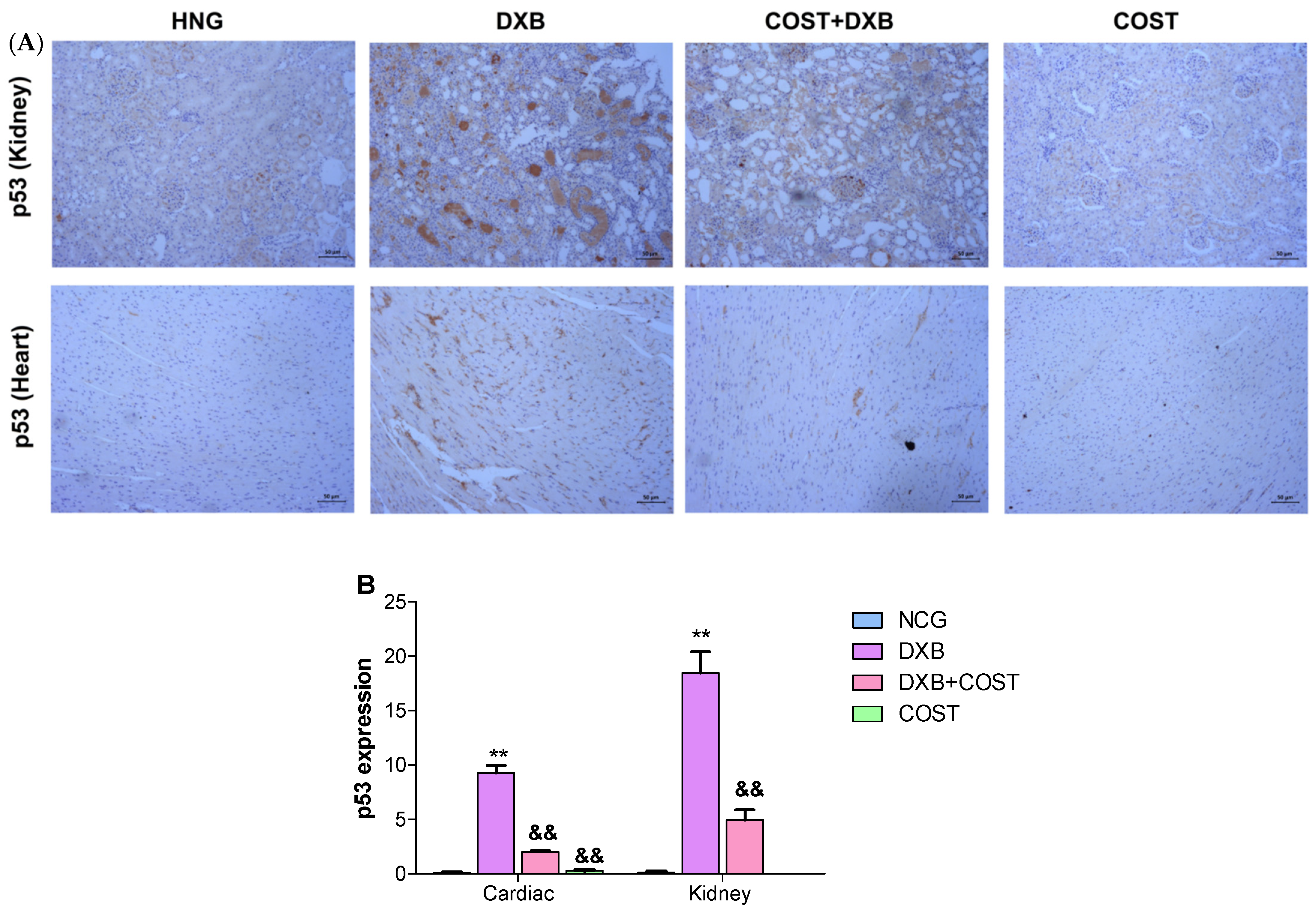 Molecules 27 02122 g007