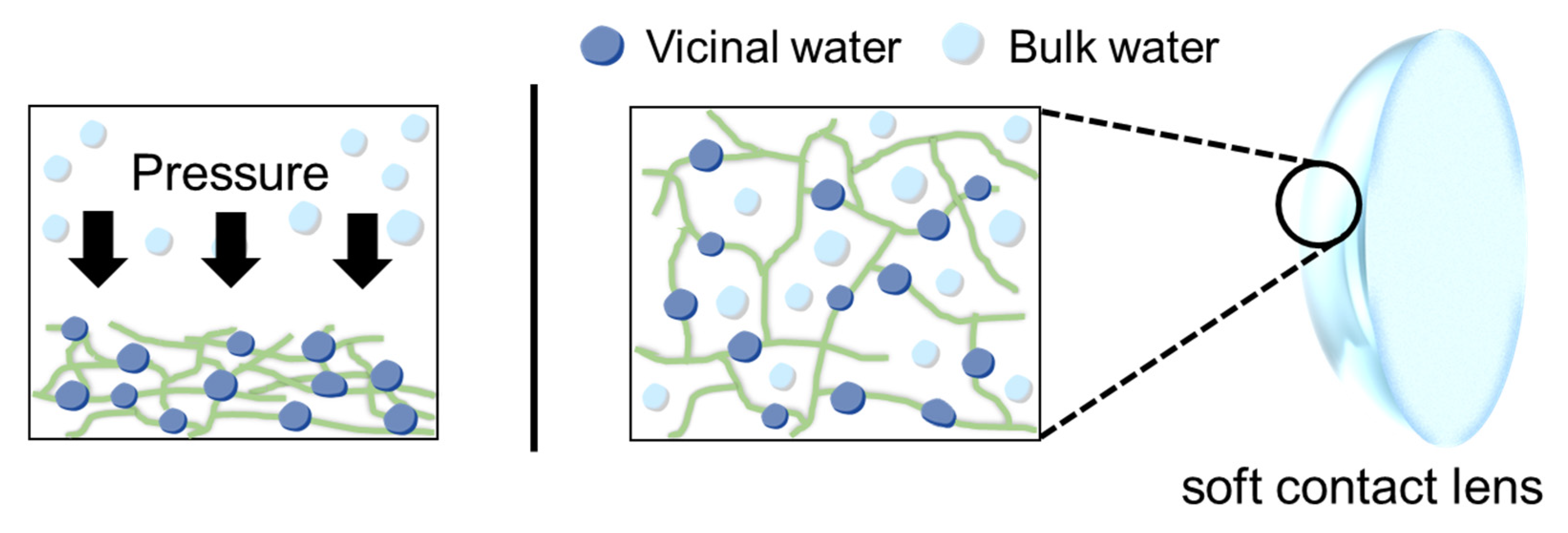 Molecules 27 02130 g002